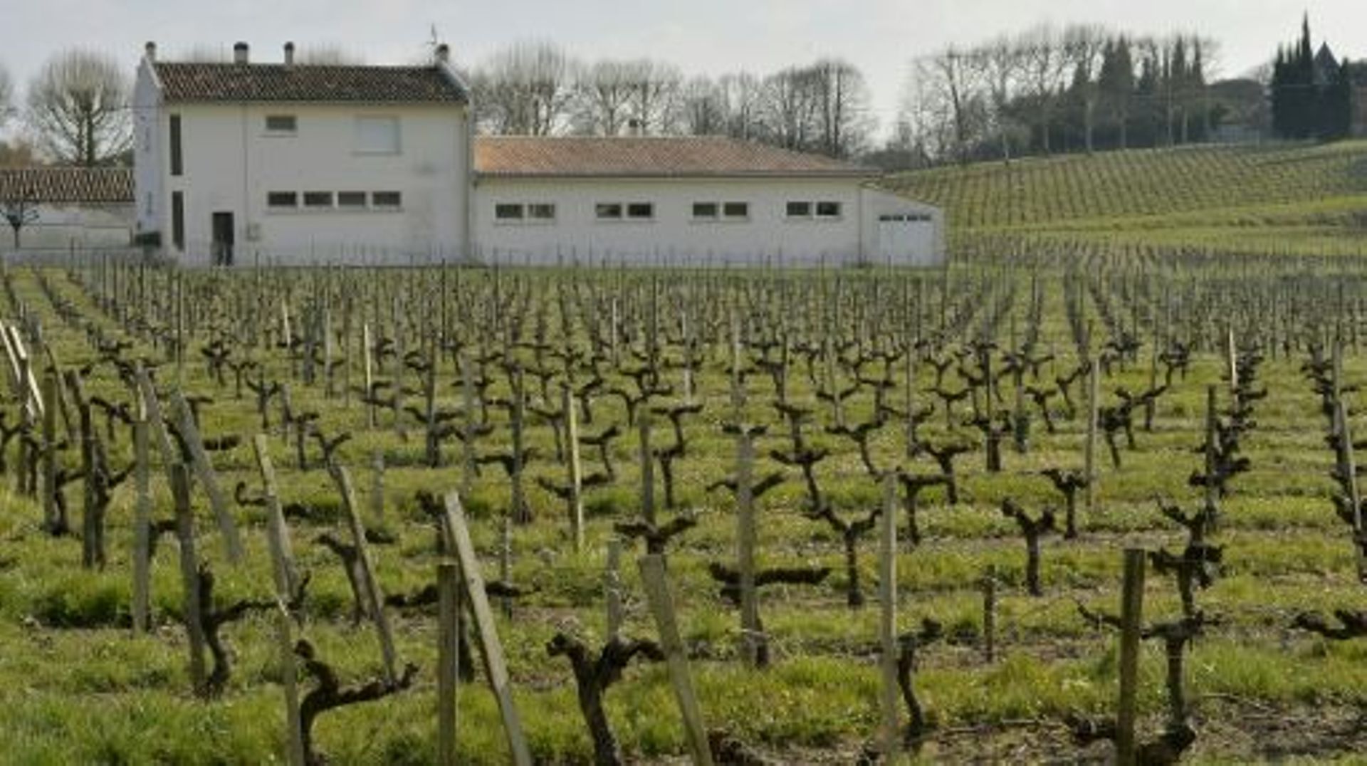 L'école élémentaire de Villeneuve-de-Blaye près de Bordeaux le 23 mars 2016, où élèves et professeurs souffrent de pathologies liées à l'utilisation de produits phytosanitaires dans les vignes alentour
