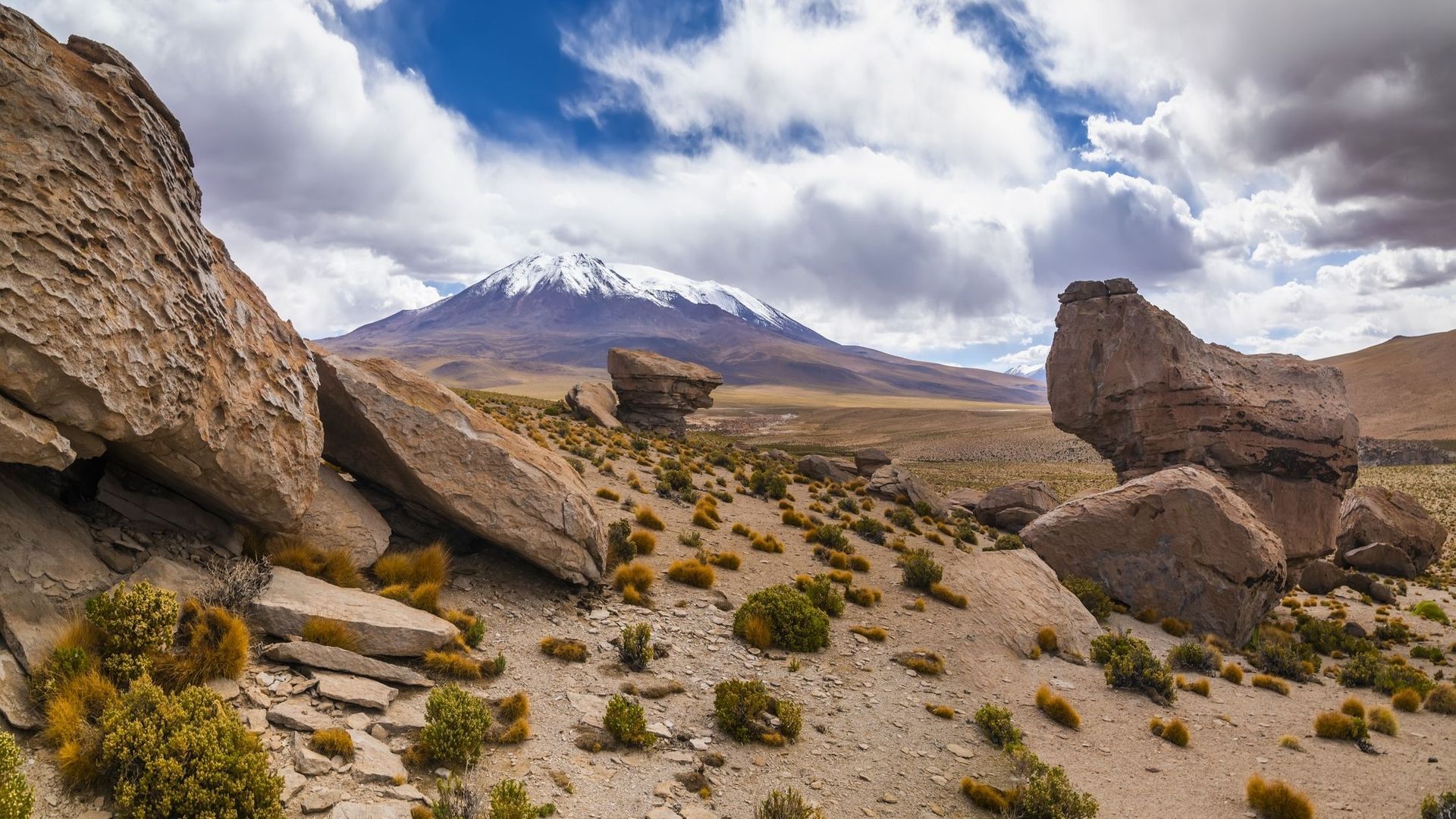 Altiplano, Bolivia
