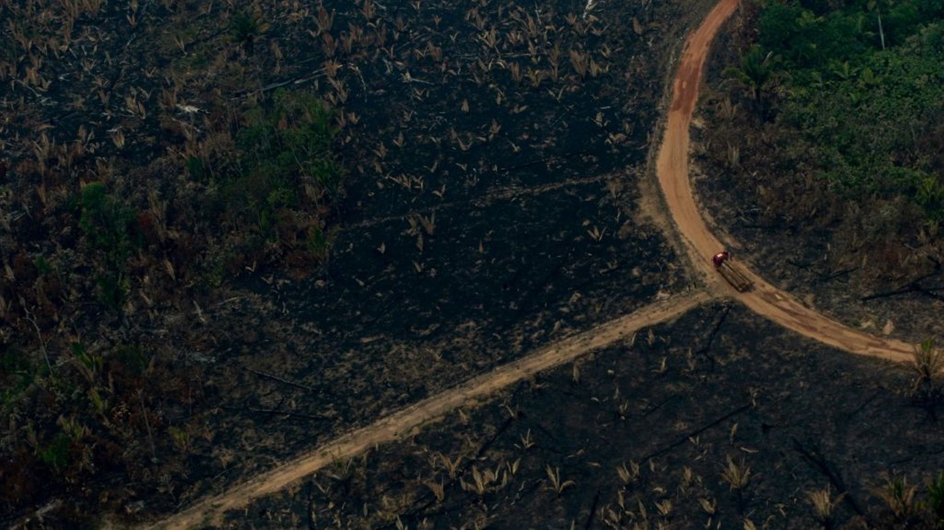 Vue aérienne d'un camion transportant des troncs d'arbre dans une zone de déforestation à Boca do Acre au Brésil, le 24 août 2019