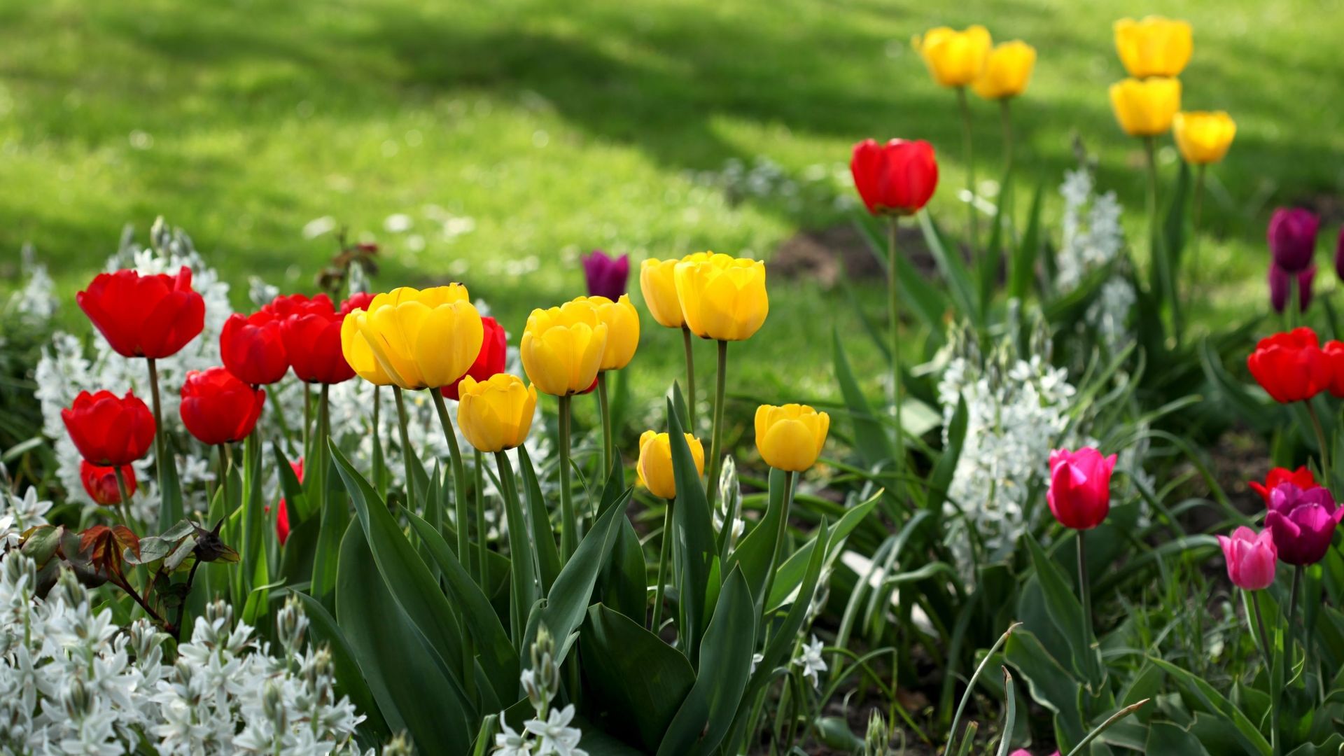 Les beaux jours arrivent, une bonne occasion d’aller se balader dans le jardin 