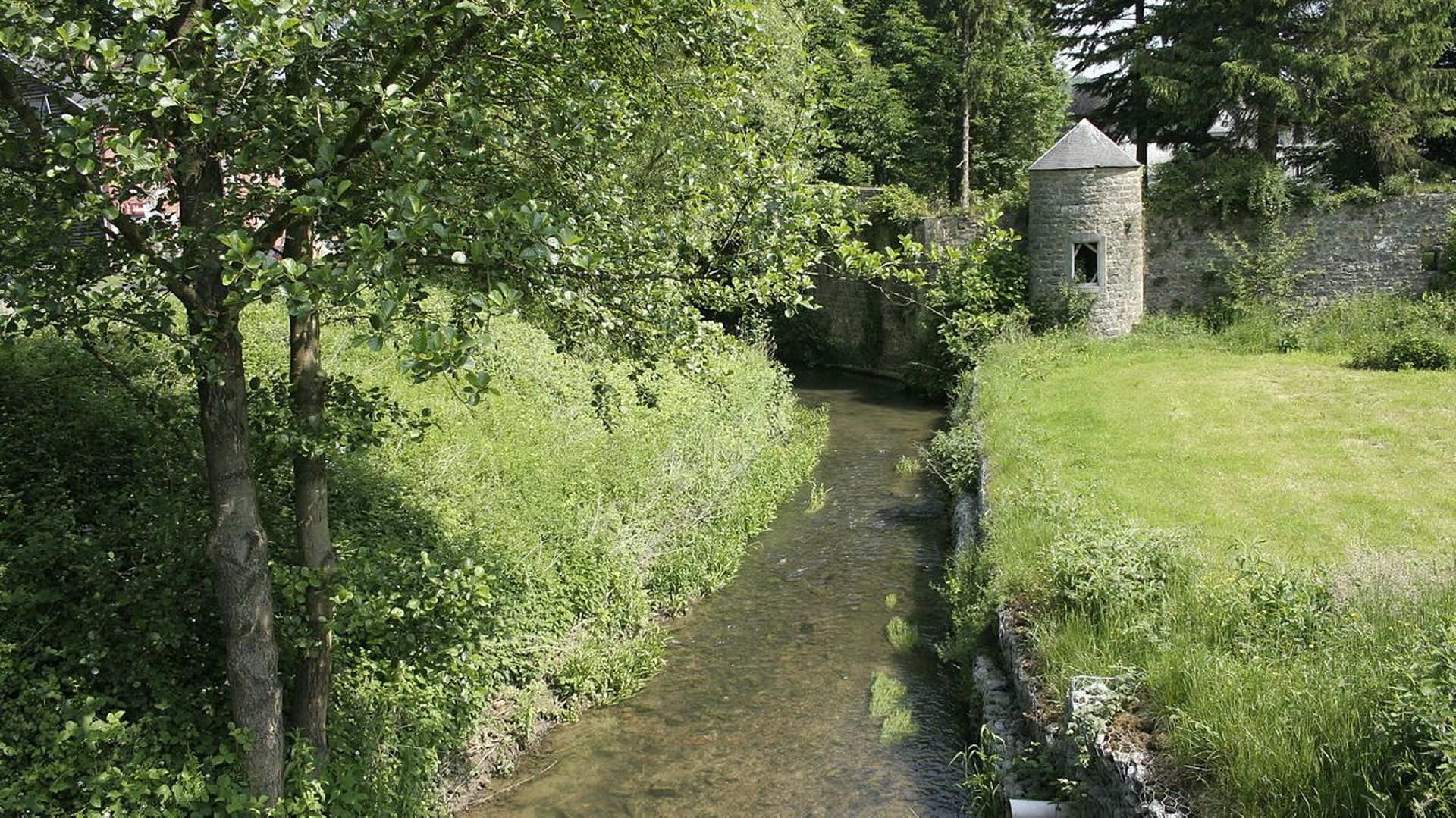 Le ruisseau d’Hanzinne (Florennes) qui coule à travers la commune de Gerpinnes, limitrophe du village