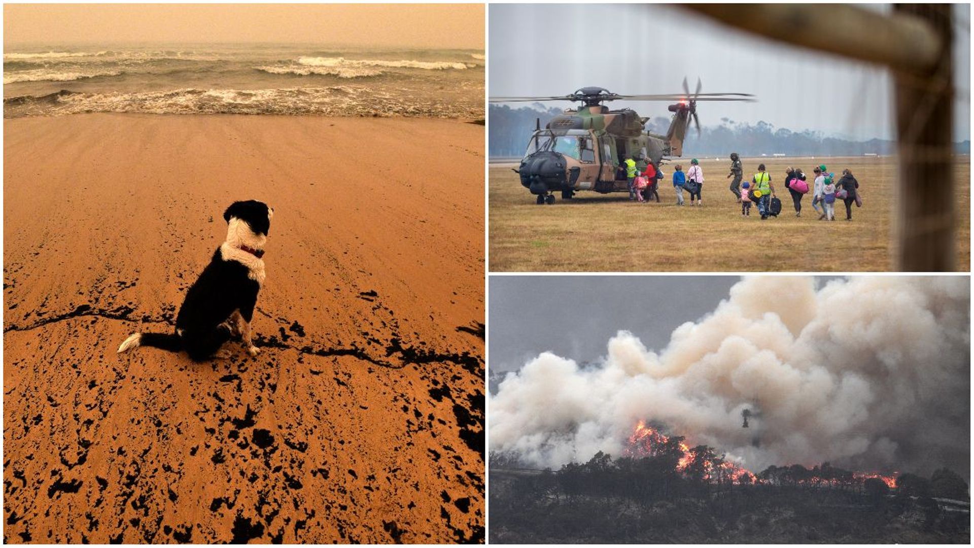 Pompiers épuisés, fumées jusqu'en Argentine, cyclone attendu: le point sur les incendies en Australie