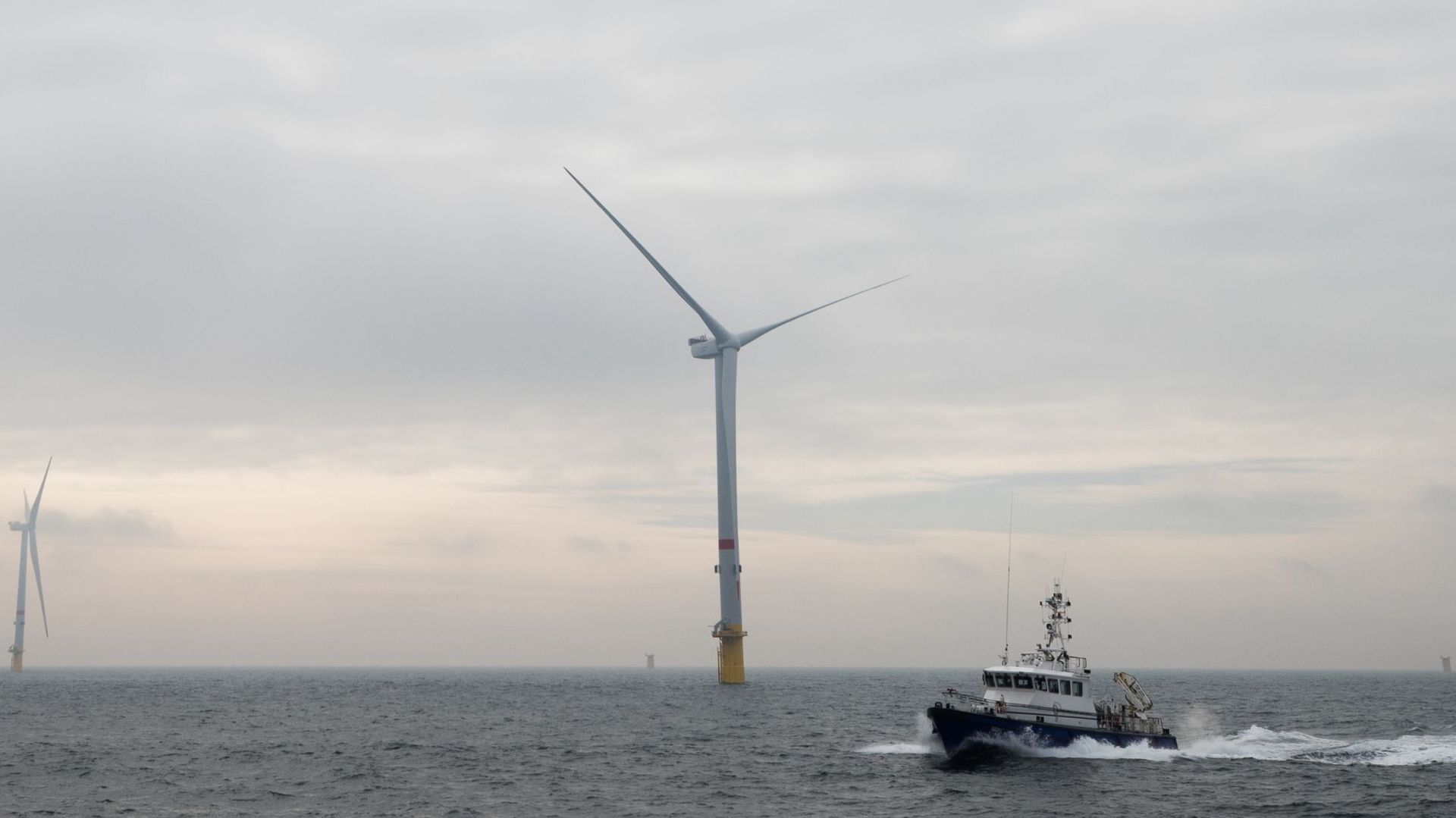 Les parcs éoliens en mer permettraient à la Belgique d'atteindre la neutralité climatique en 2050