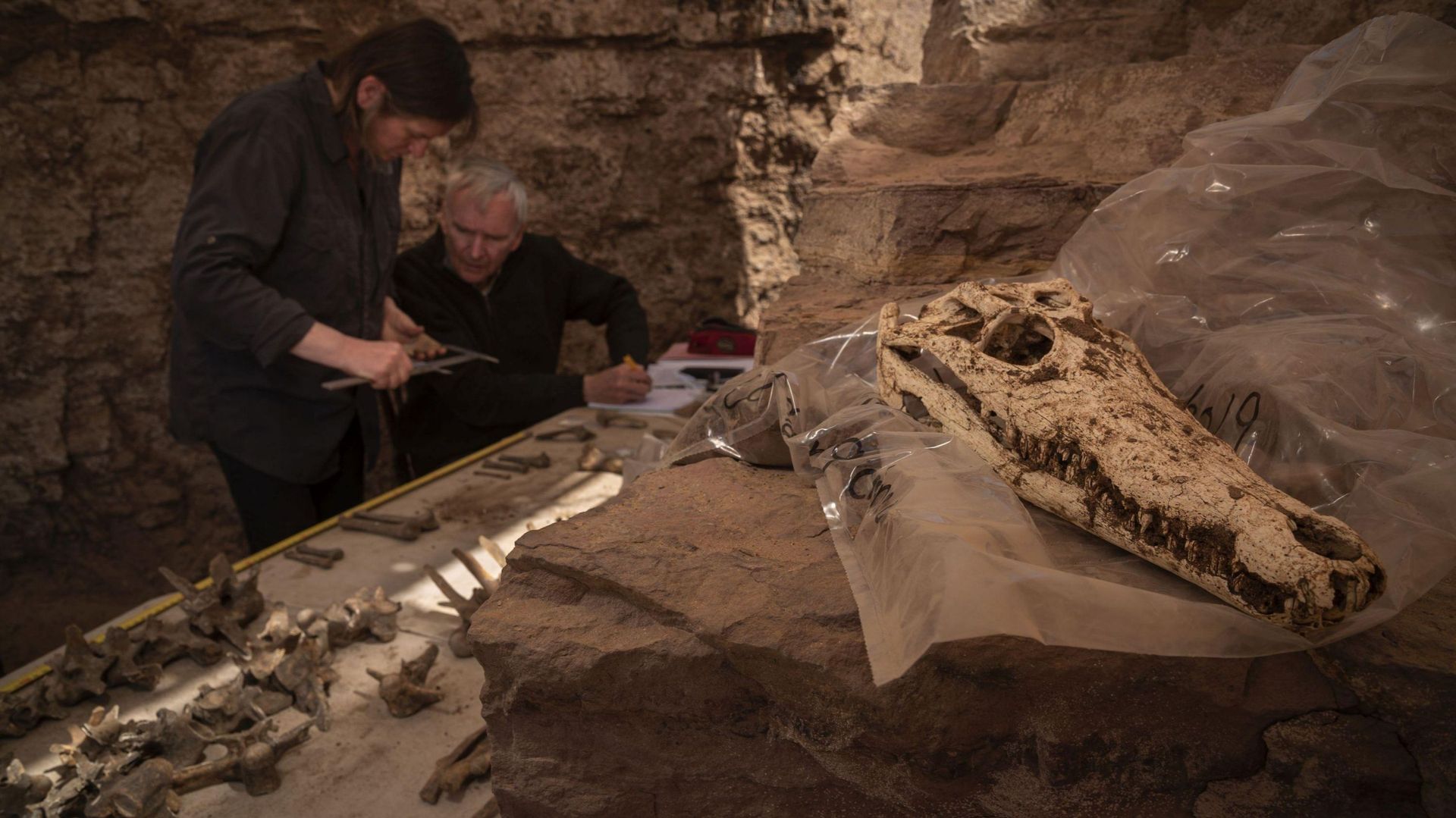 Bea De Cupere et Wim Van Neer, de l’Institut royal des Sciences naturelles de Belgique, étudient les crocodiles sur place…
