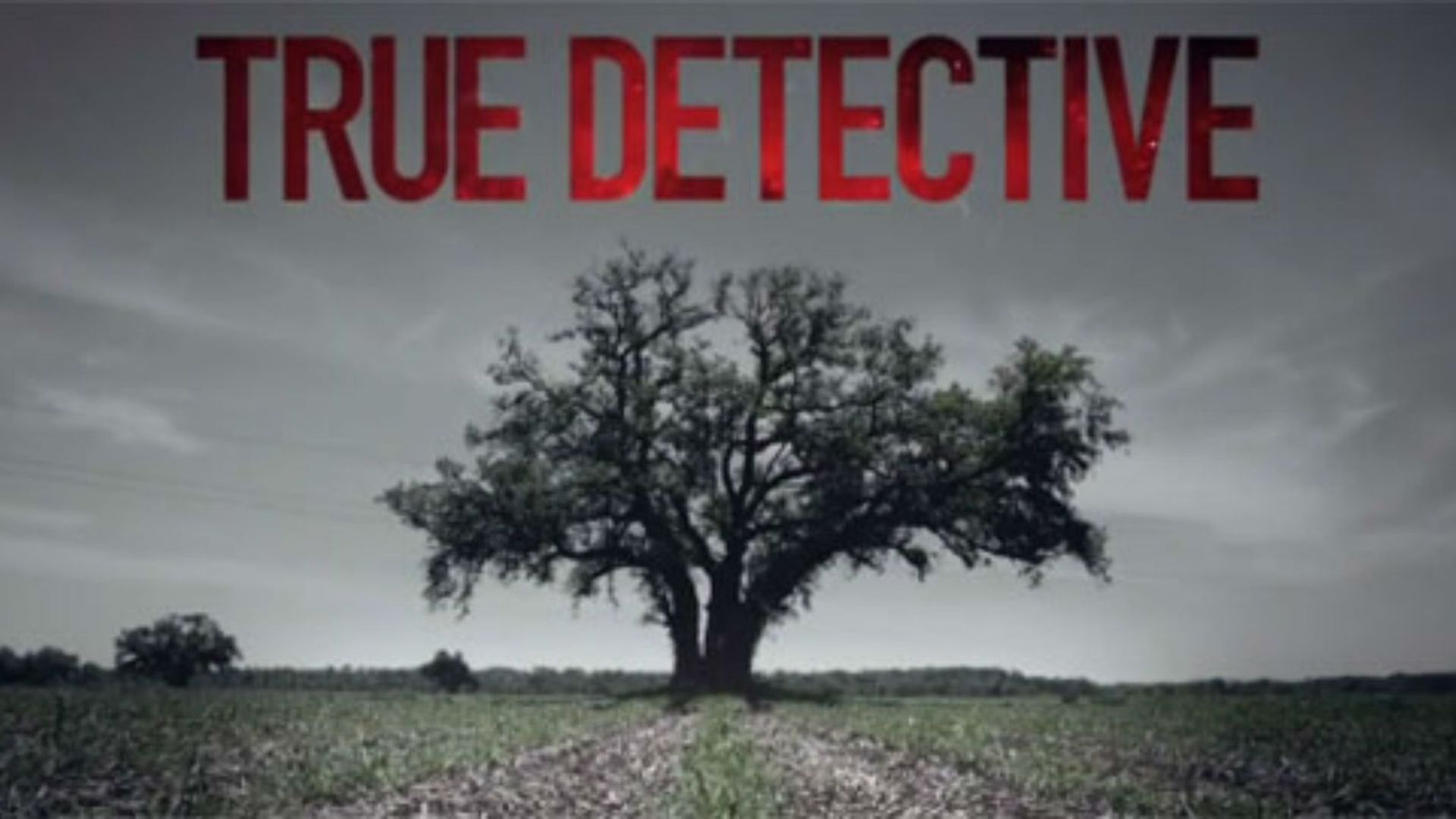 La toute première saison de "True Detective" diffusée sur HBO, avait reçu un franc succès critique