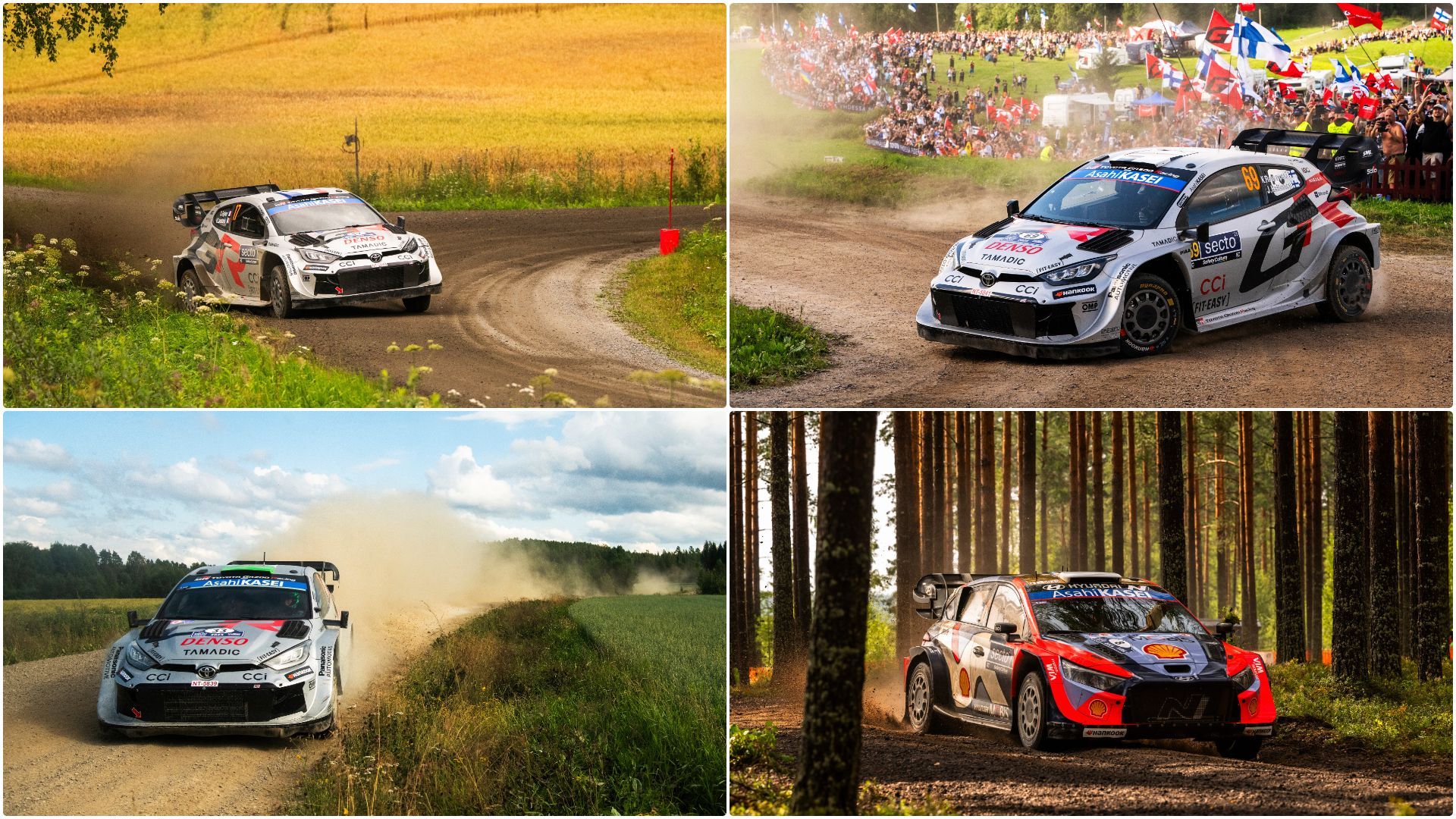 WRC Paraguay : Ogier, Evans, Rovanpera et Tanak entament la dernière ligne droite pour le titre, avec ou sans Neuville ?