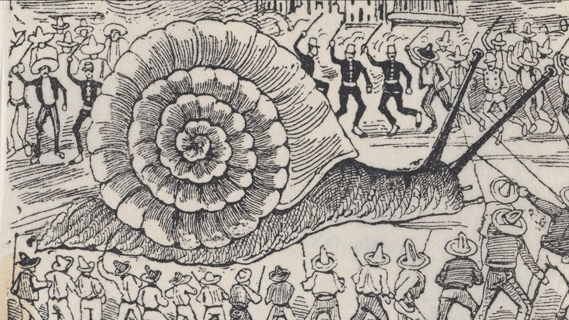La sagesse de l’escargot : une invitation à ralentir et à respecter les limites de la planète ?