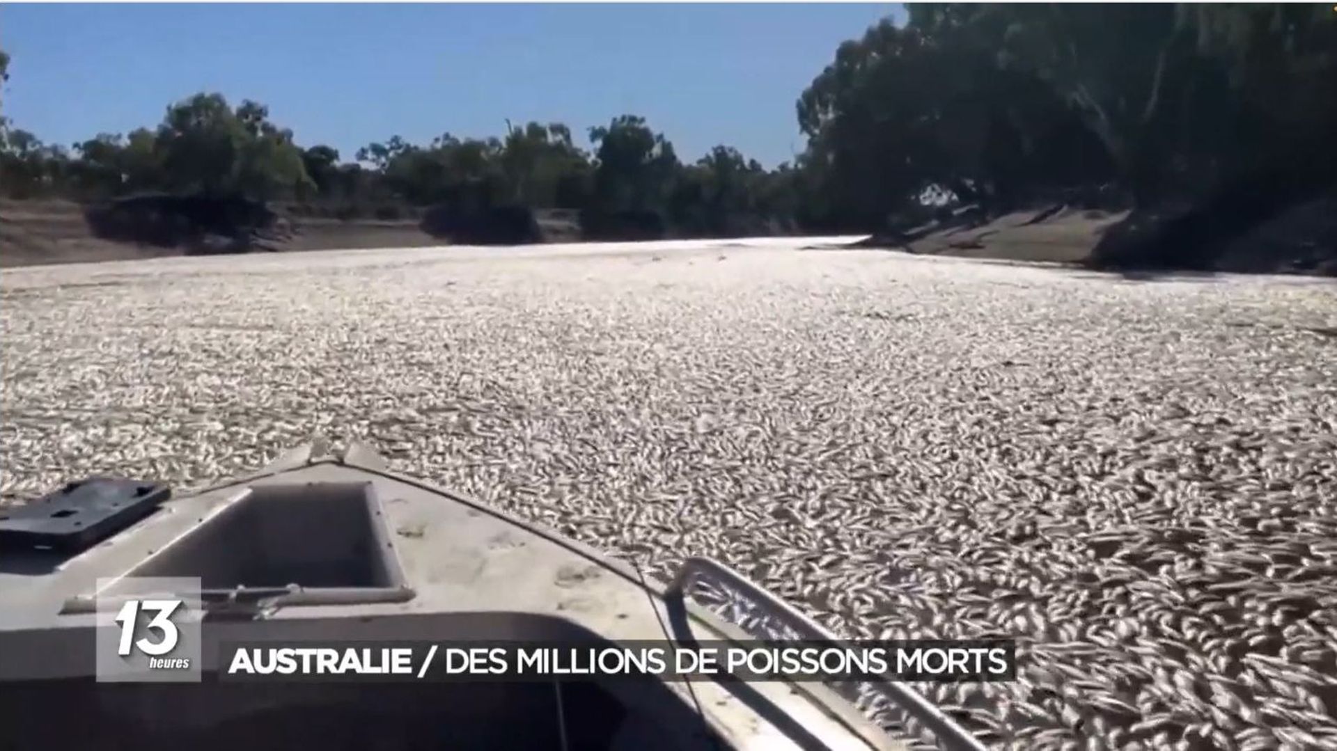 Millions of dead fish are floating on the surface of the Darling River in Australia.