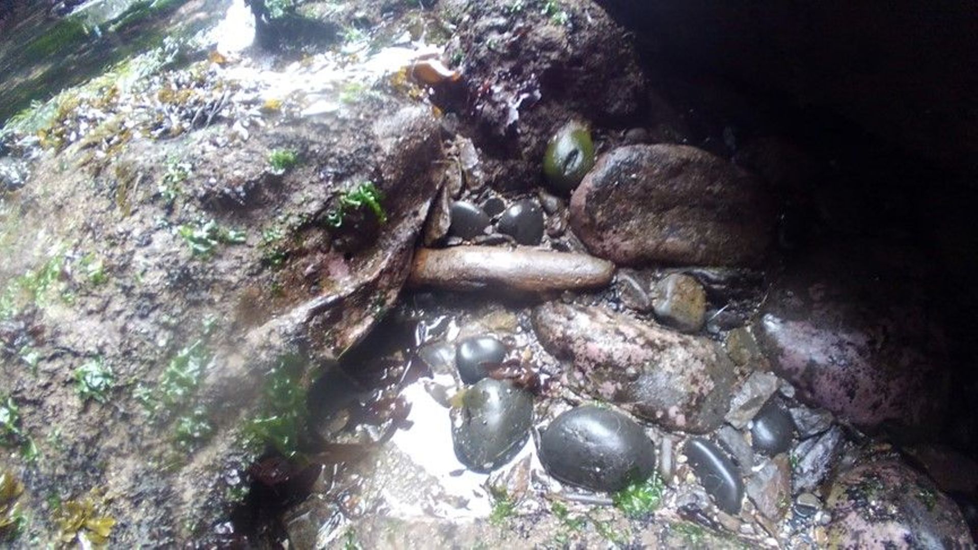 Les morceaux de bois retrouvés entre les rochers seraient-ils les restes du galion ?