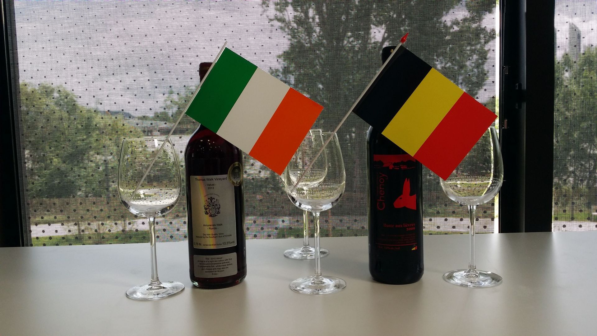 Quand Belgique-Irlande s'est joué... en cave