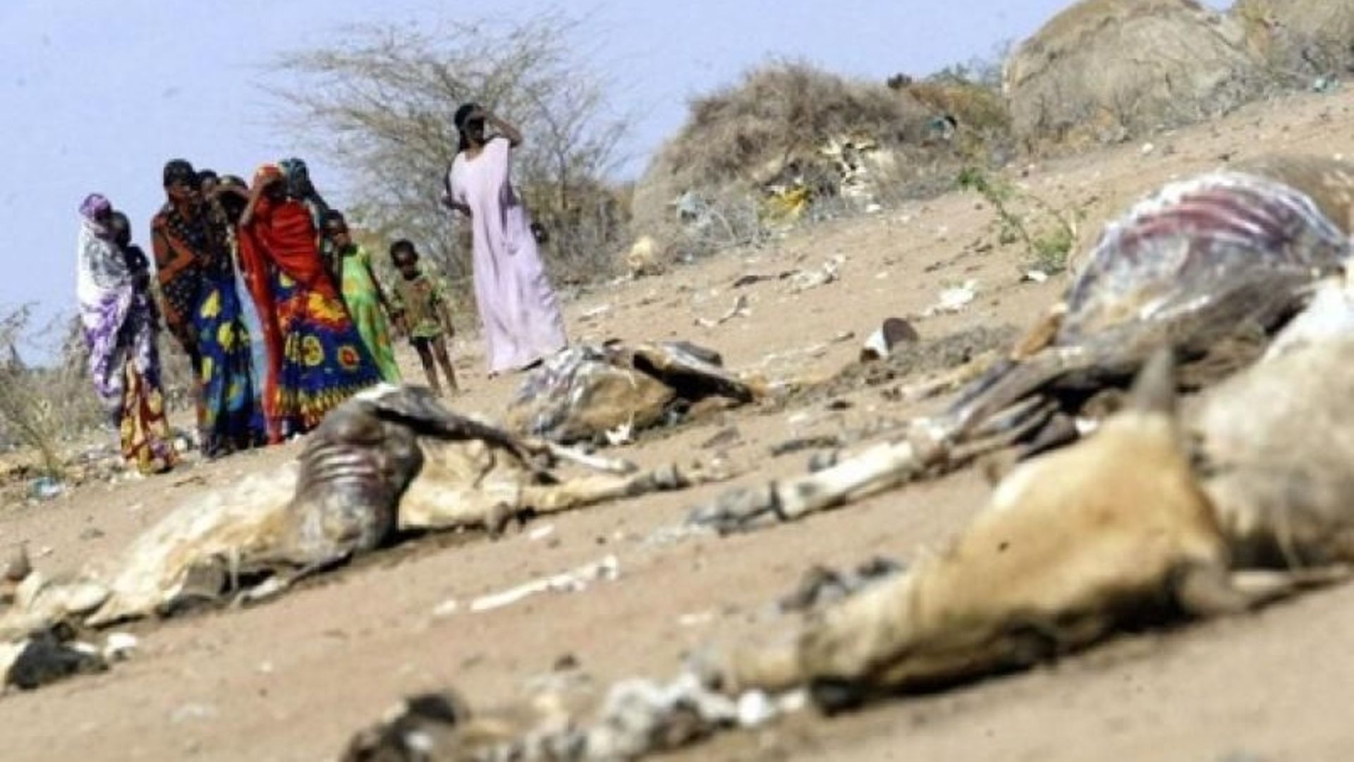 Les populations des pays à faible revenu plus exposées aux phénomènes climatiques extrêmes