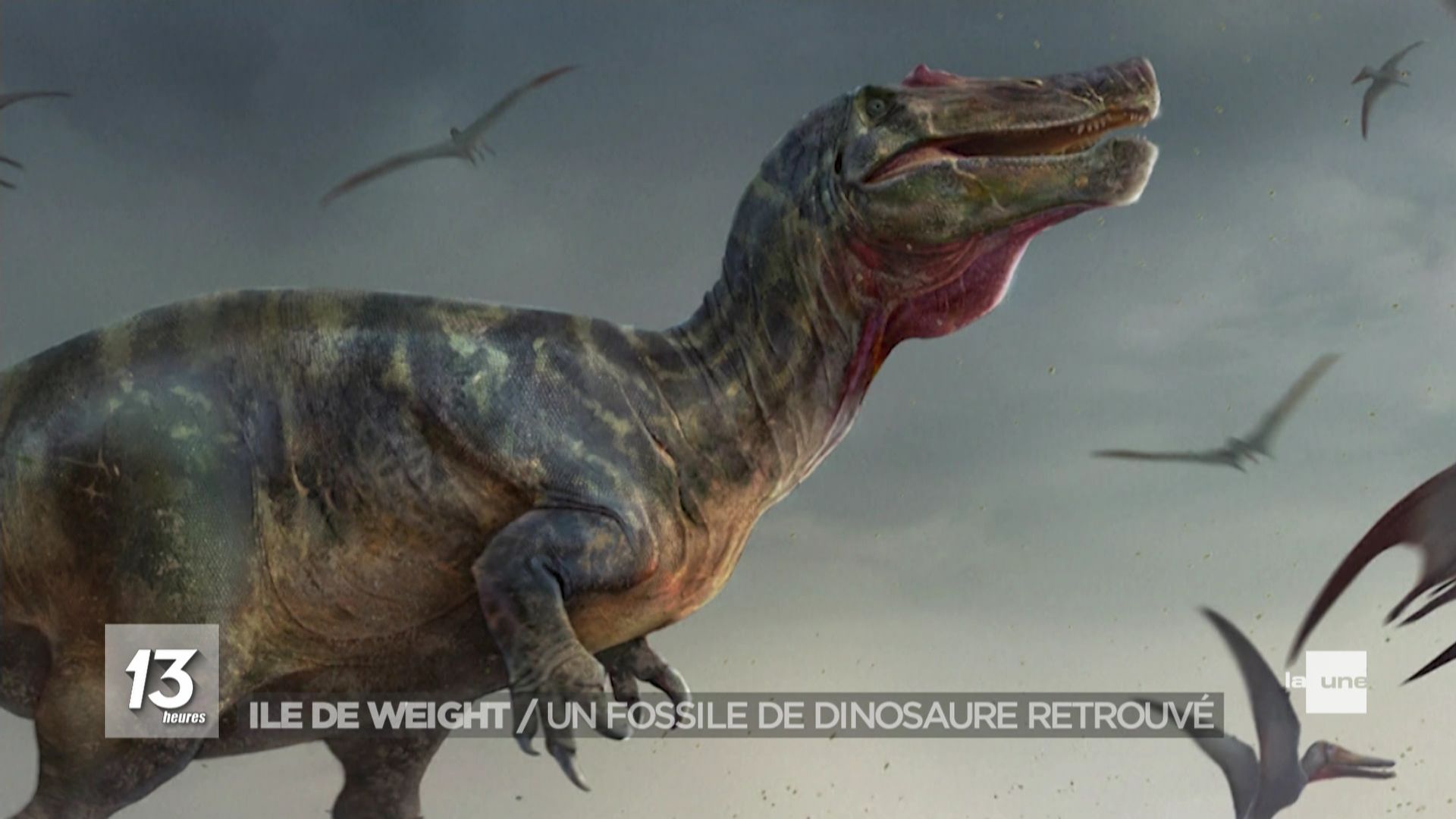 Une nouvelle espèce de dinosaure découverte sur une île au large de  l'Angleterre - La Libre