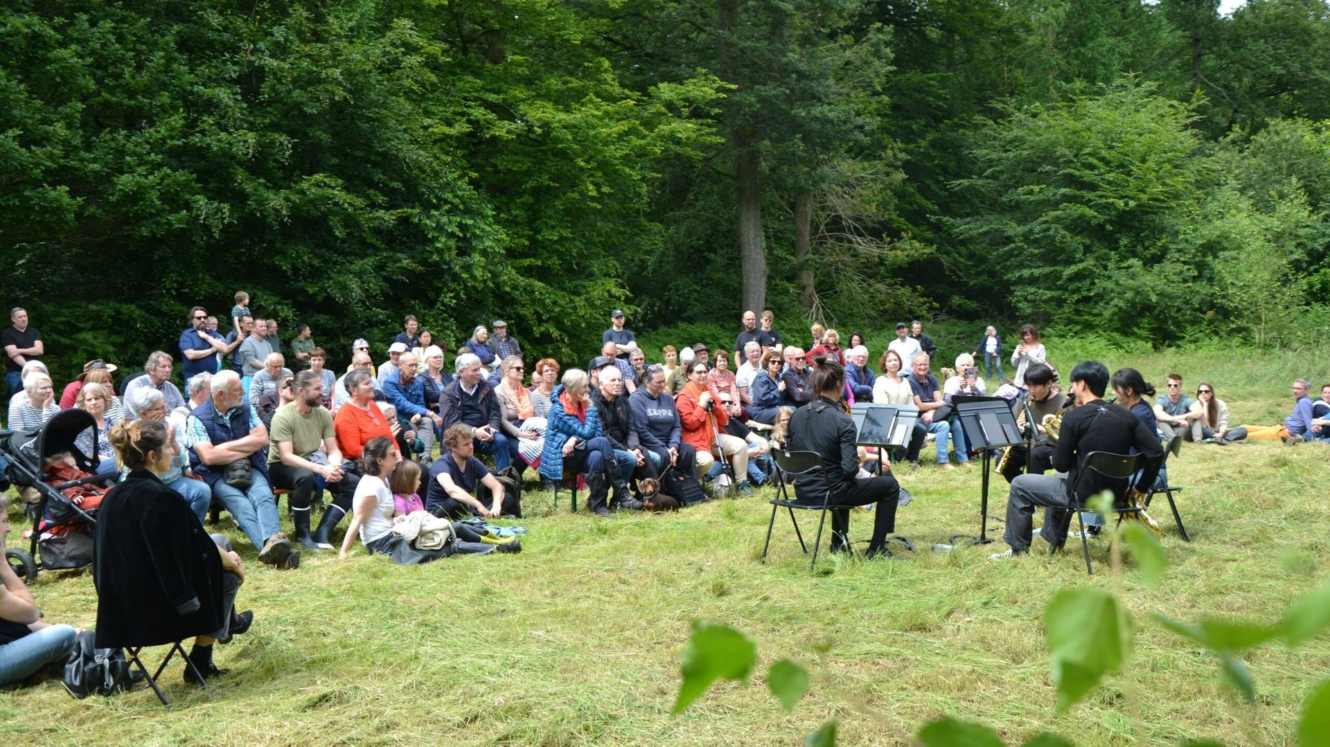 Bain de forêt musical au bois de Lauzelle : quand la nature se met à l’écoute de la musique