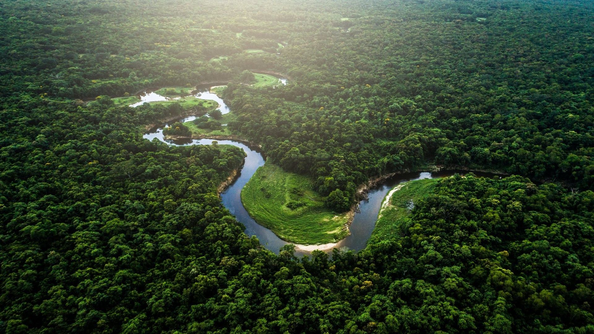 Au Brésil, les forêts mieux protégées lorsque les autochtones ont des droits sur les terres.