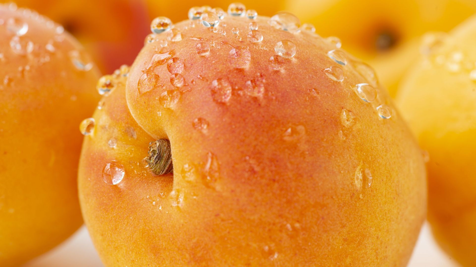Fruits de saison : l’abricot, un précieux allié pour notre santé