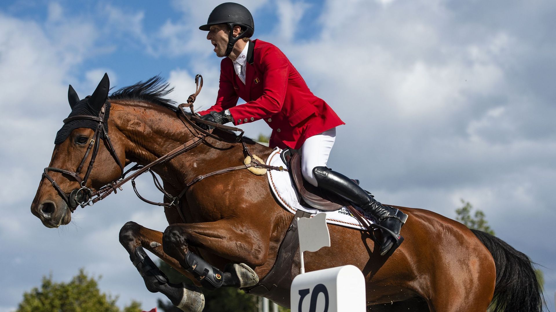 Equitation : Le sport équestre belge souffre et appelle à l'aide 