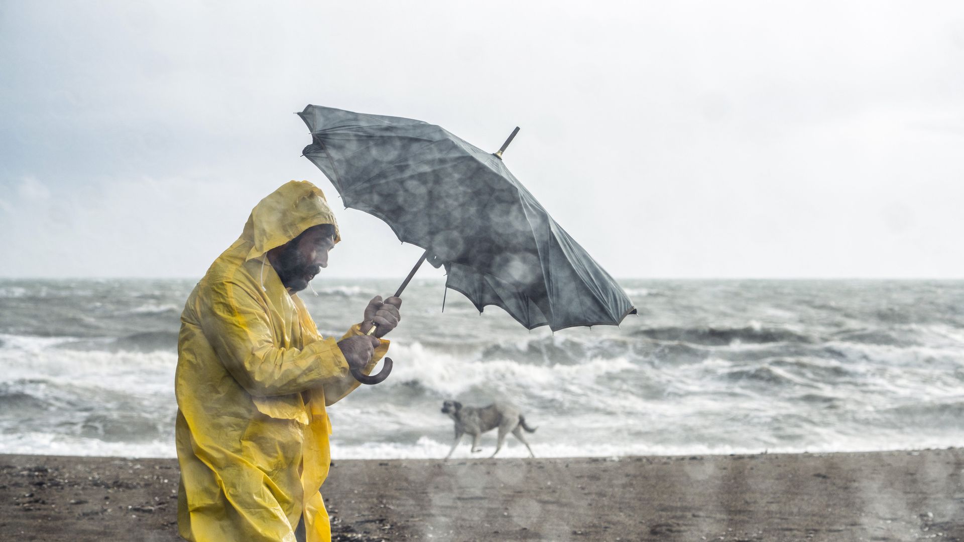 Météo en Belgique : la tempête Benjamin va passer chez nous ce jeudi