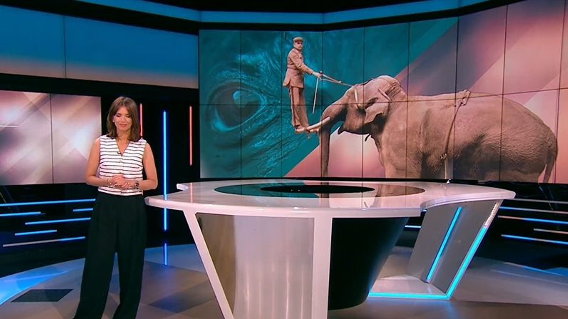 Cirques, zoos et exotisme : ce que la triste histoire de l'éléphant Fritz révèle de notre rapport aux animaux