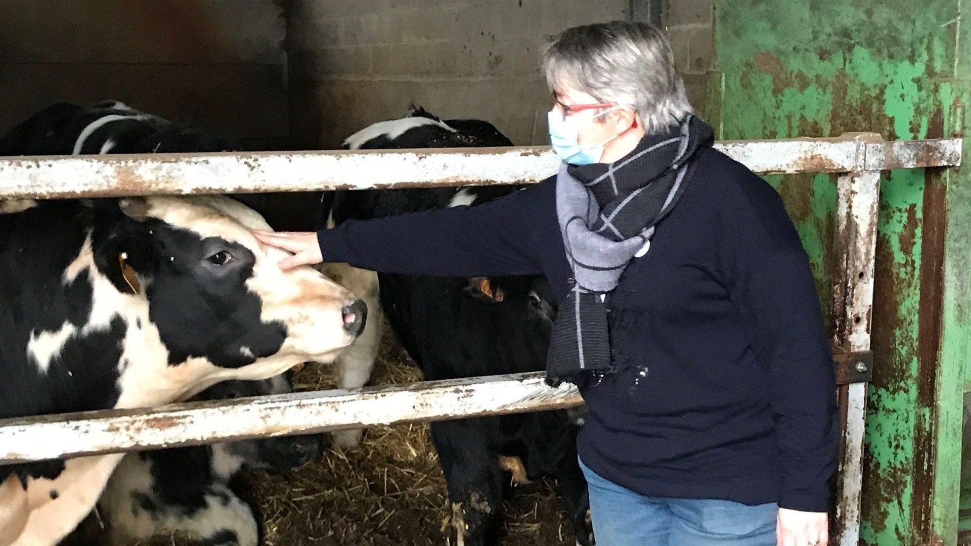 Véronique Janssens et douze autres fermières namuroises ont lancé il y a un an le groupe "Agricultrices 4.0" dans le cadre des cinquante ans du mouvement féminin "l'Union wallonne des agricultrices".