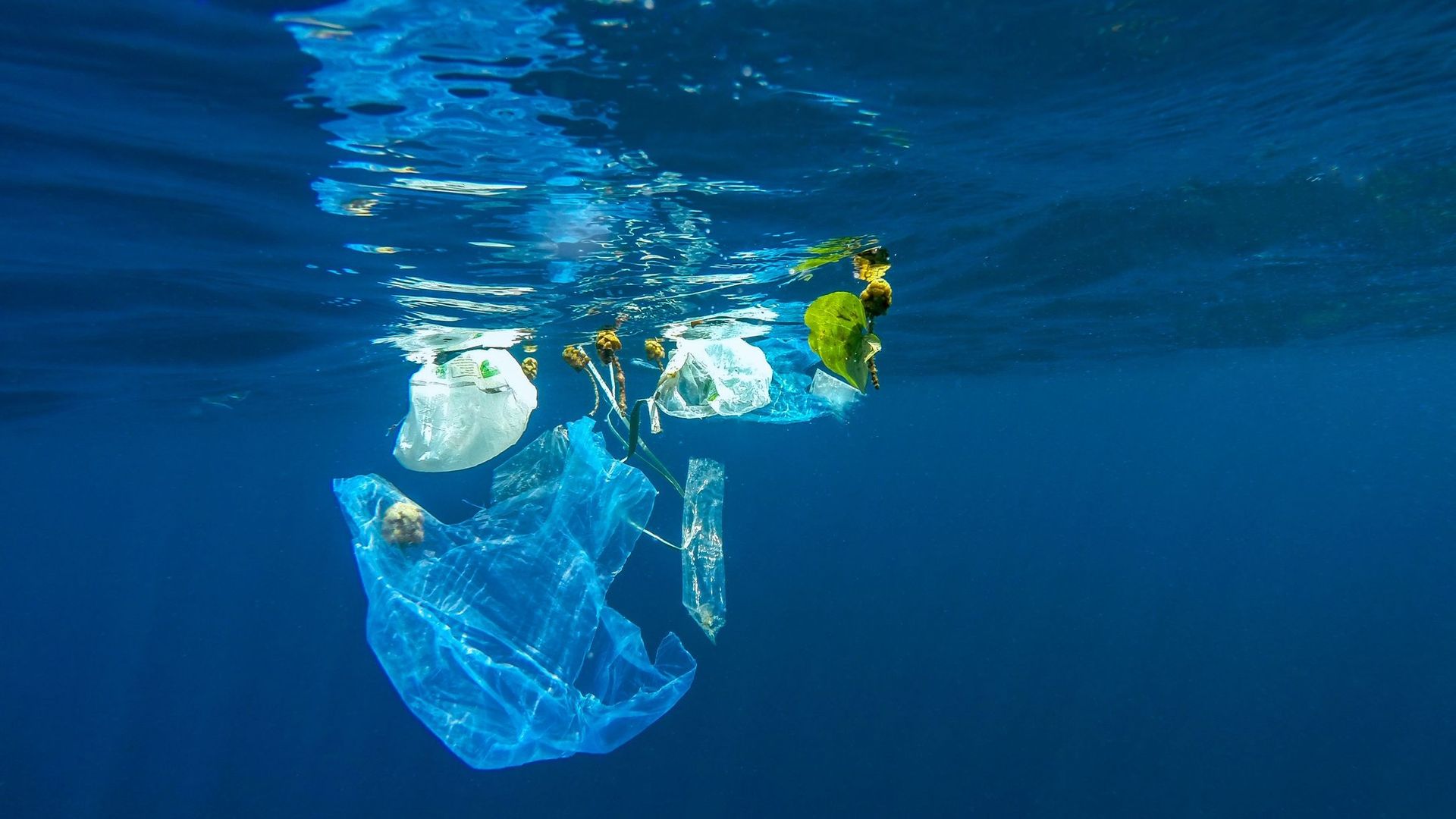 Près de 230.000 tonnes de plastique jetés chaque année dans la Méditerranée.