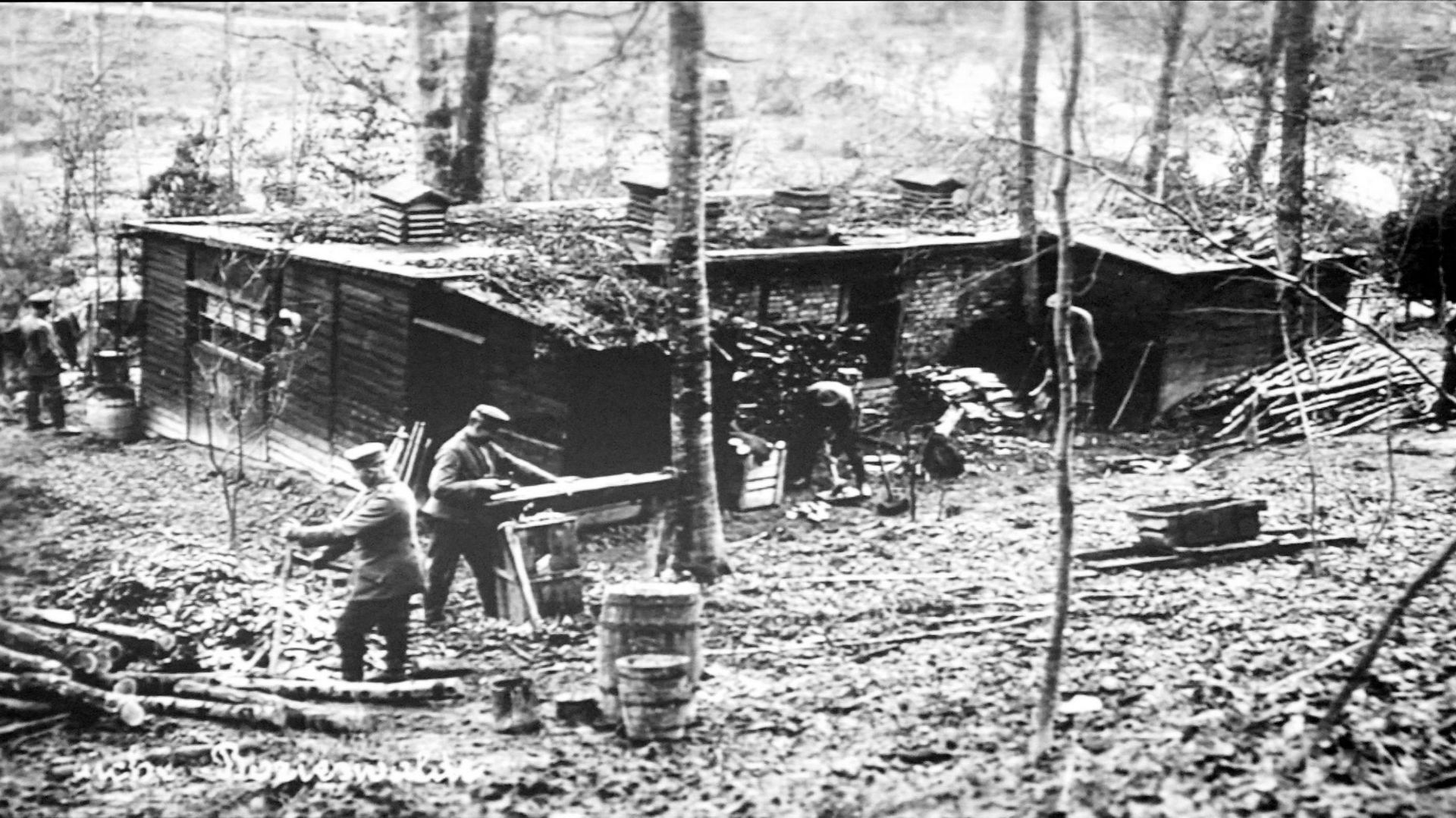 Le camp du Borrieswald, au sein de la forêt d’Argonne, en 1916.
