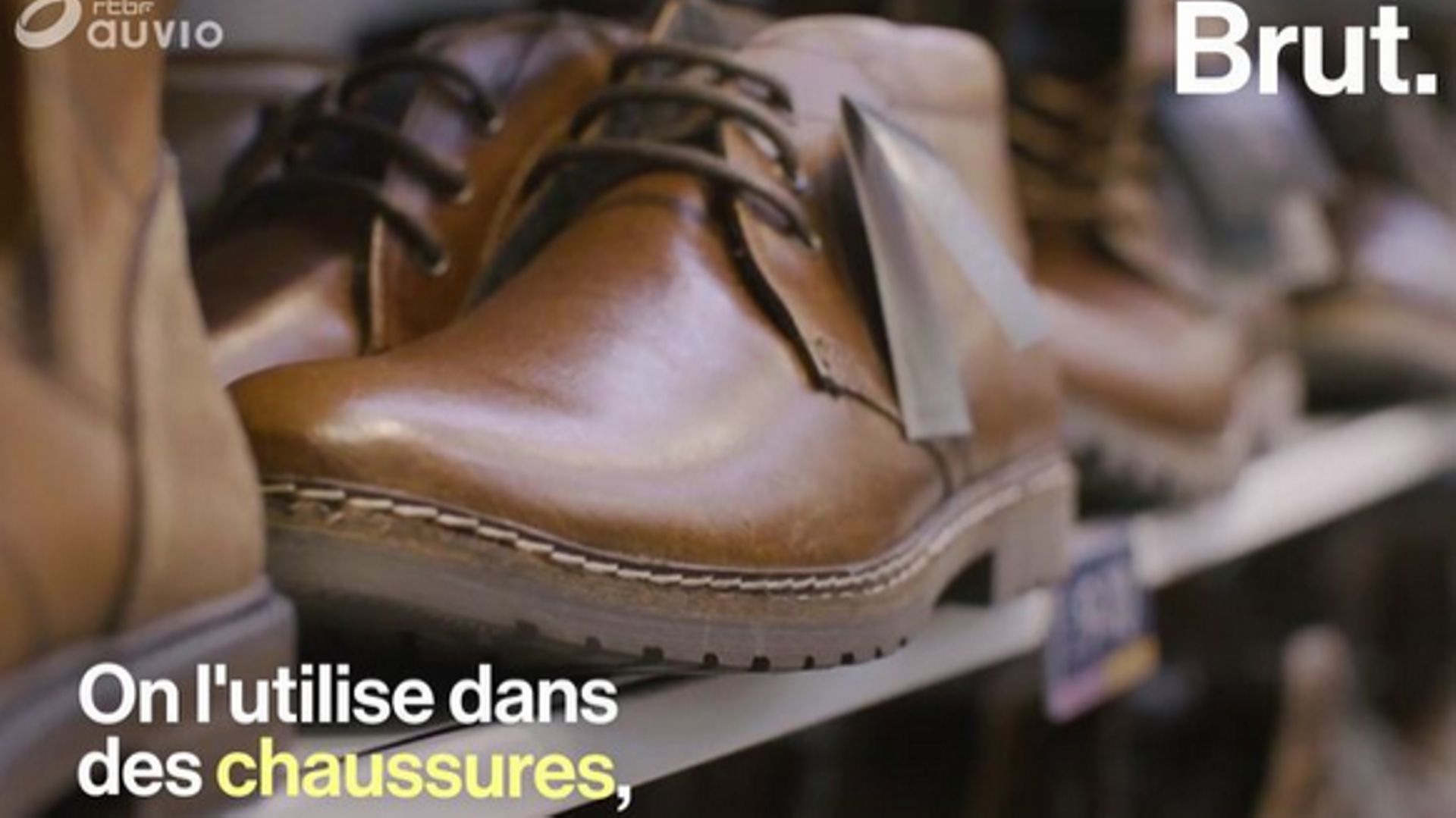 Le cuir, une source de pollution colossale mais évitable 