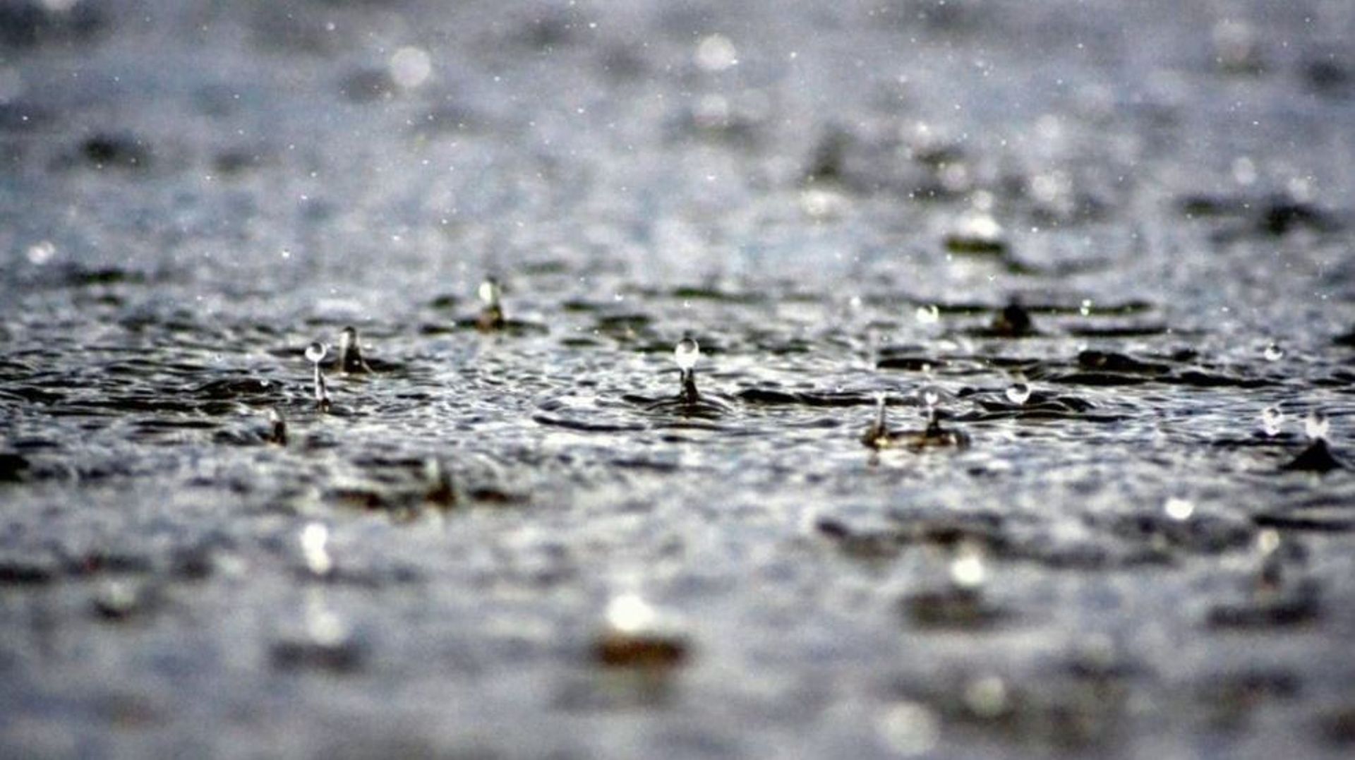 Le gouvernement wallon a reconnu les pluies torrentielles tombées fin mai comme calamité publique.
