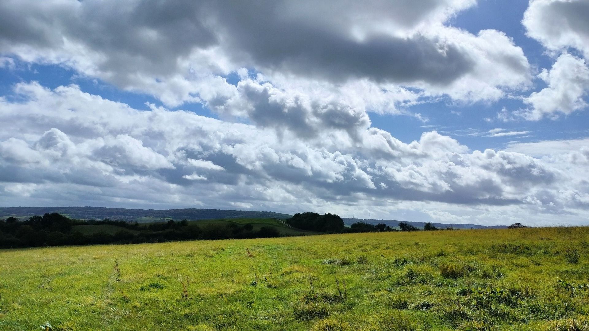 Météo en Belgique : un peu de pluie ce mercredi avant la chaleur