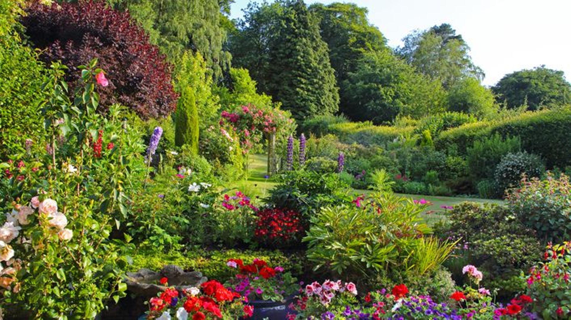 Jardins en Pays de Liège vous propose de visiter ce weekend le jardin de Marie-Paule à Amay