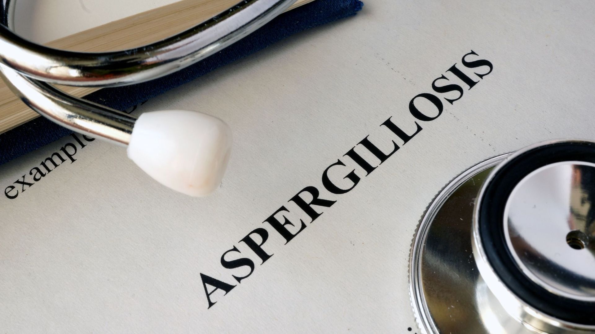Aspergillose: quand un minuscule champignon menace nos poumons