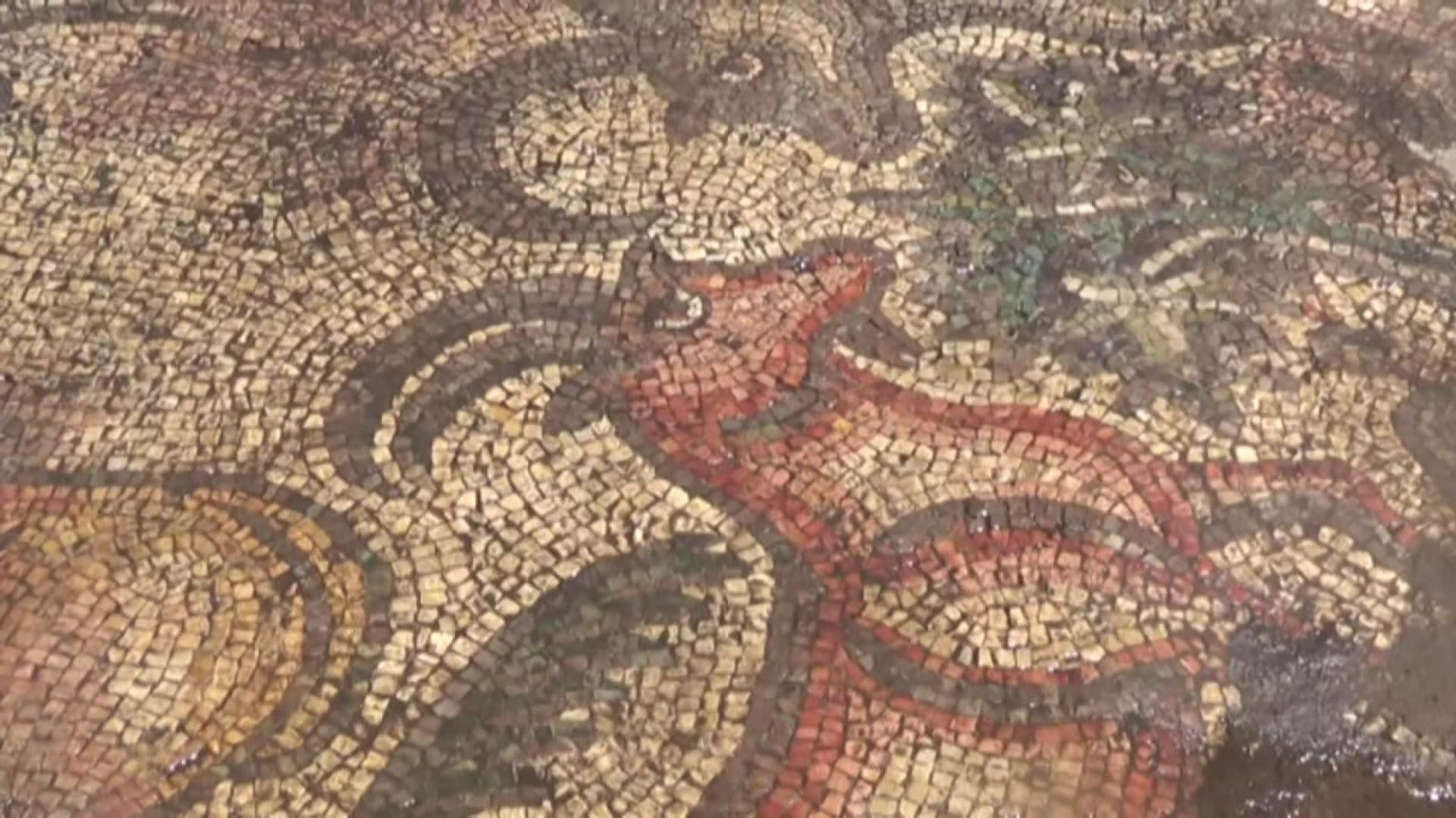 Turquie: des fermiers découvrent par hasard une mosaïque romaine