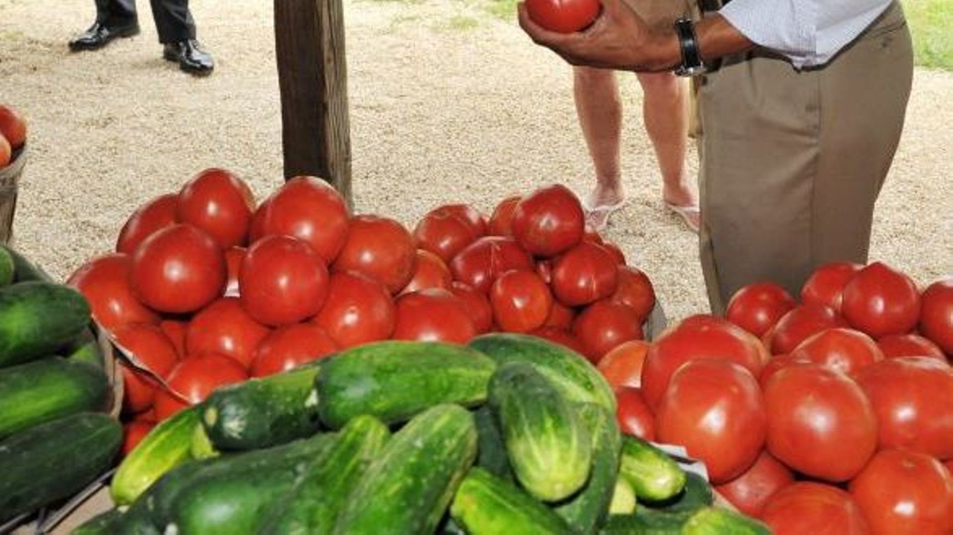 Les tomates, riches en lycopène, réduiraient le risque d'attaque cérébrale