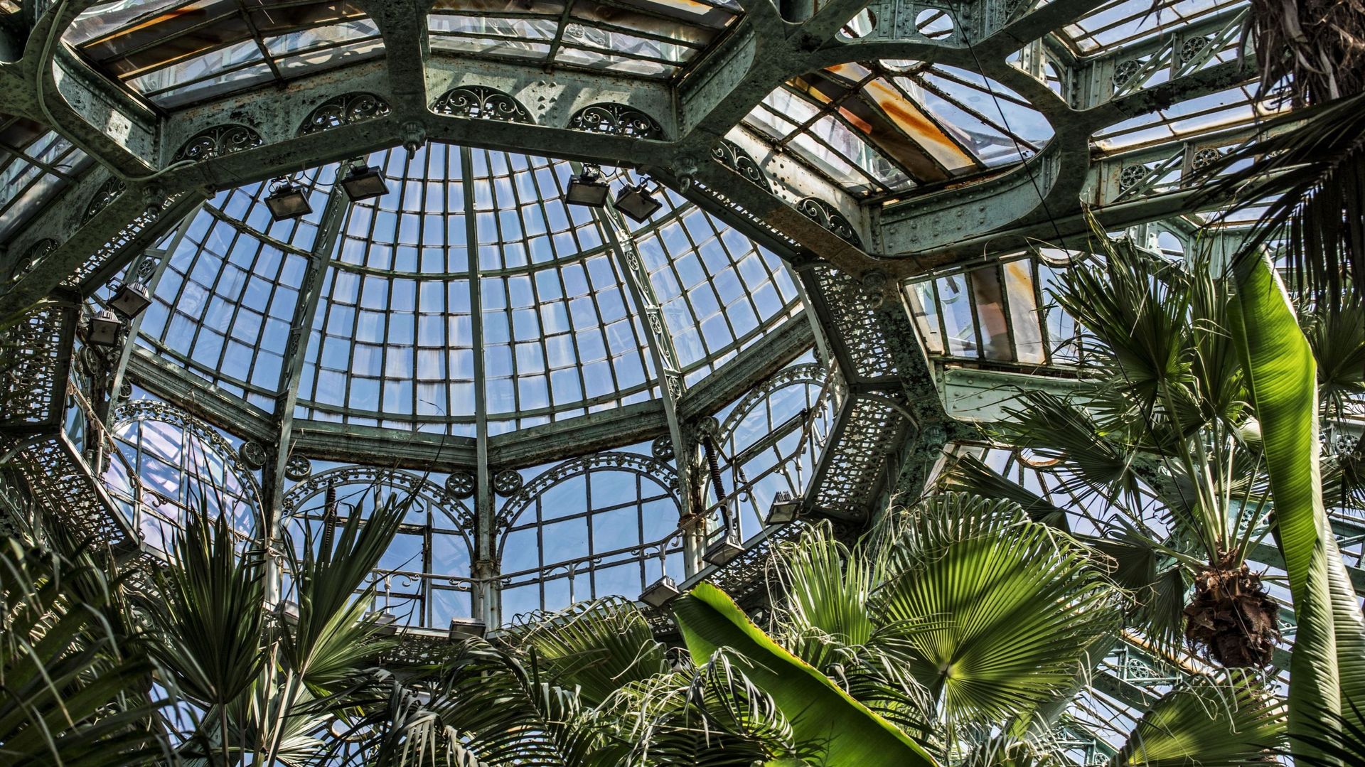Palm trees in the Jardin d&#39 ; hiver / Winter Garden at the Royal Greenhouses of Laeken in Art Nouveau style