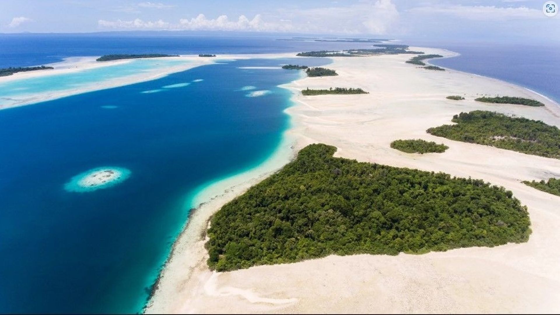 Un archipel indonésien, dont l’écosystème est l’un des plus intacts du monde, est mis aux enchères.