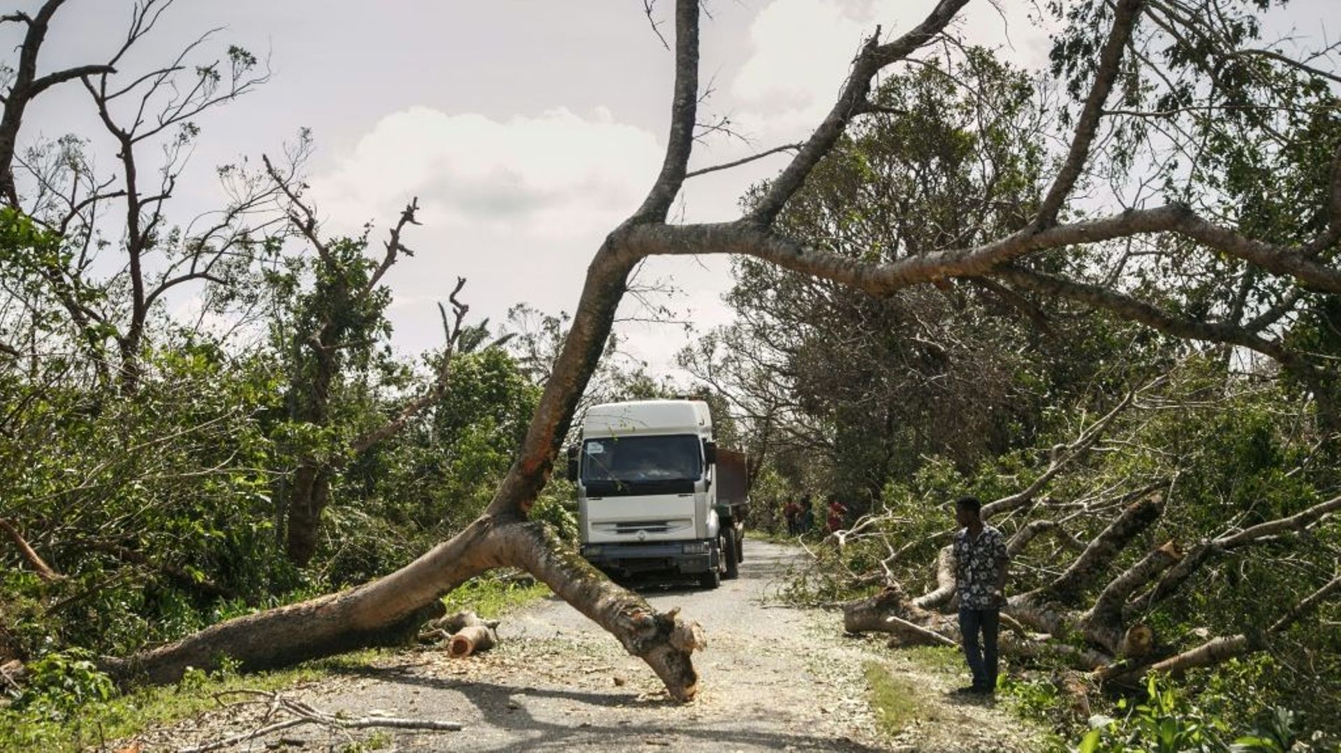 Un camion tente de contourner un arbre tombé à terre lors du passage du cyclone Batsirai à Antsenavolo, à Madagascar, le 8 février 2022

. The death toll from Tropical Cyclone Batsirai has risen to 92 in Madagascar, authorities said Wednesday, as humanita