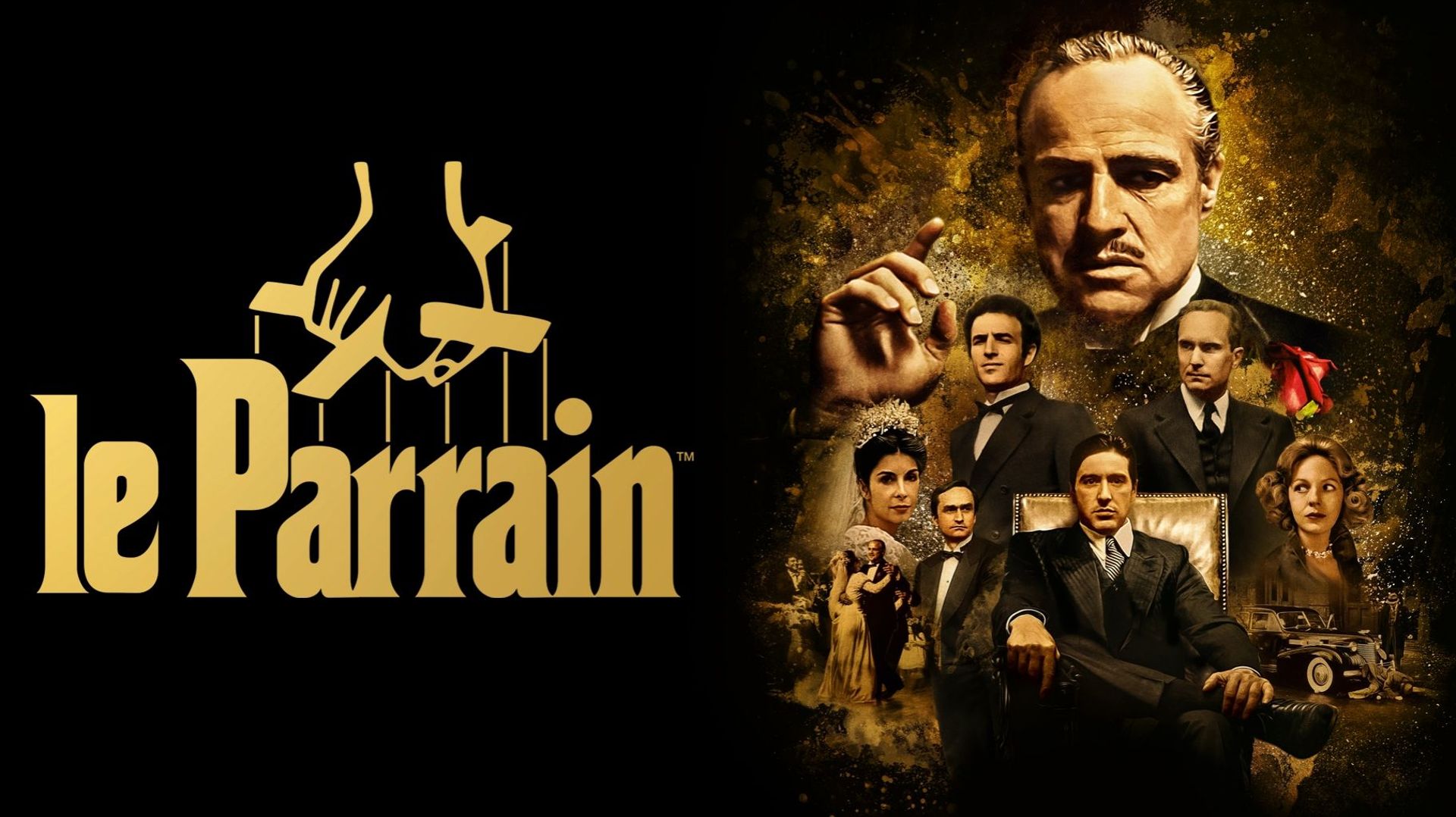 Les 13, 20 et 27 septembre La Trois vous propose de découvrir la trilogie culte et oscarisée du "Parrain " de F.F. Coppola, avec Brando, Al Pacino, De Niro et la musique de Nino Rota.