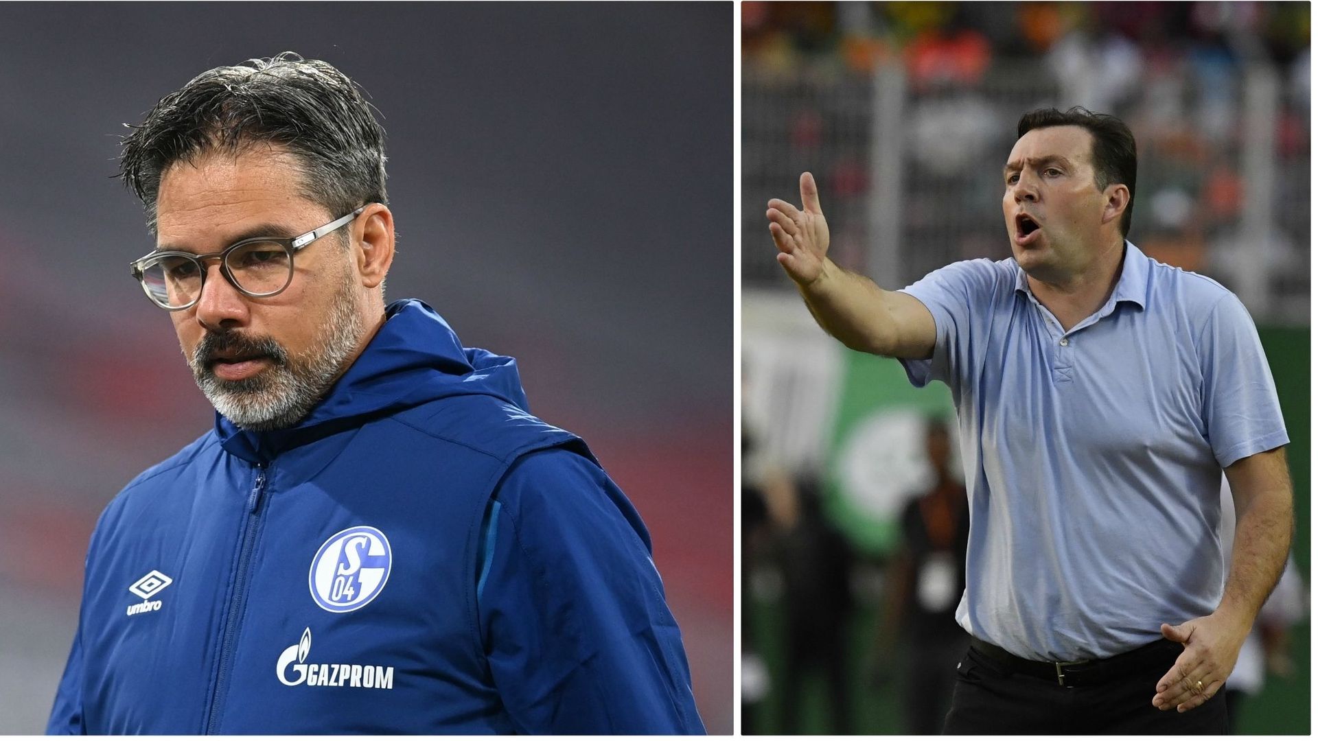 Bundesliga: Schalke 04 se sépare de son entraîneur David Wagner, porte ouverte pour Wilmots ?