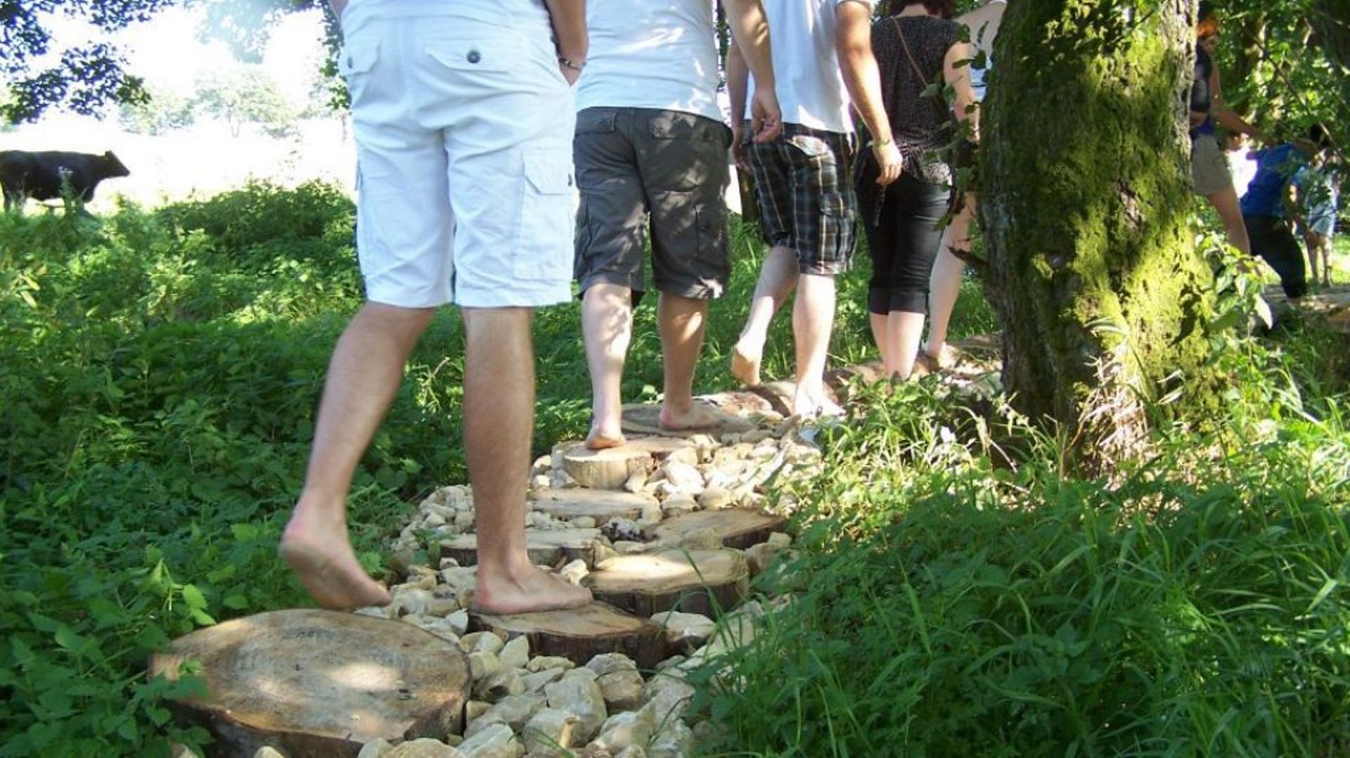 A pied nu pour une balade en famille à Gouvy - RTBF Actus