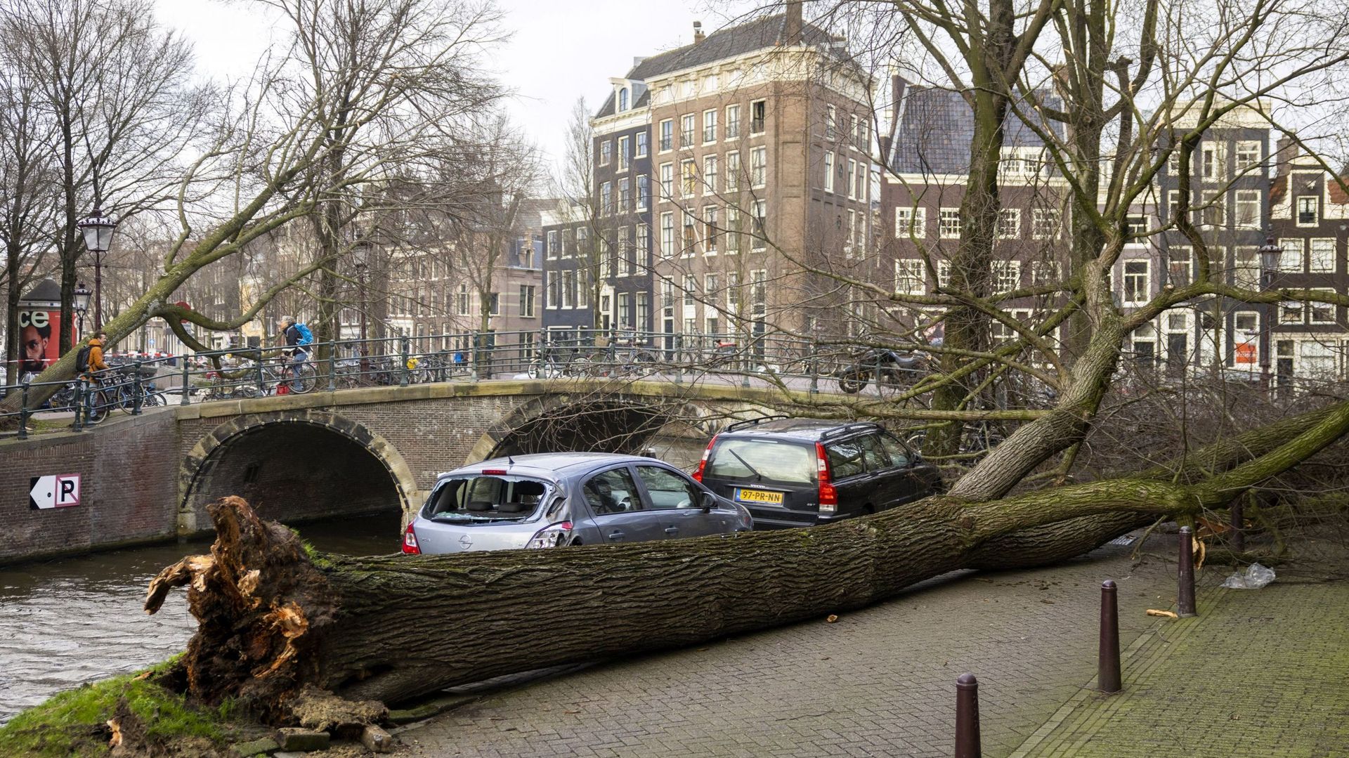 Arbre tombé à Amsterdam, à cause des rafales de vent.