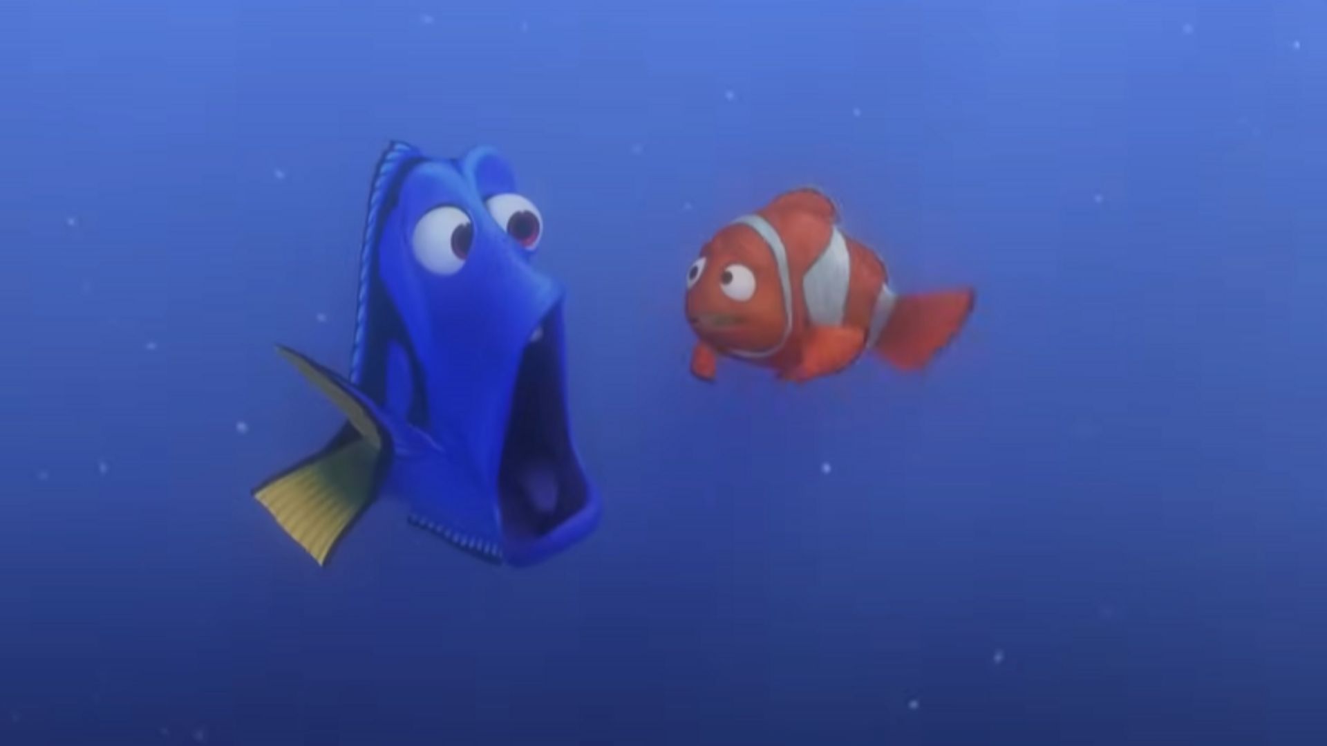 Une star de la télé américaine a inspiré Dory, le célèbre poisson du ...