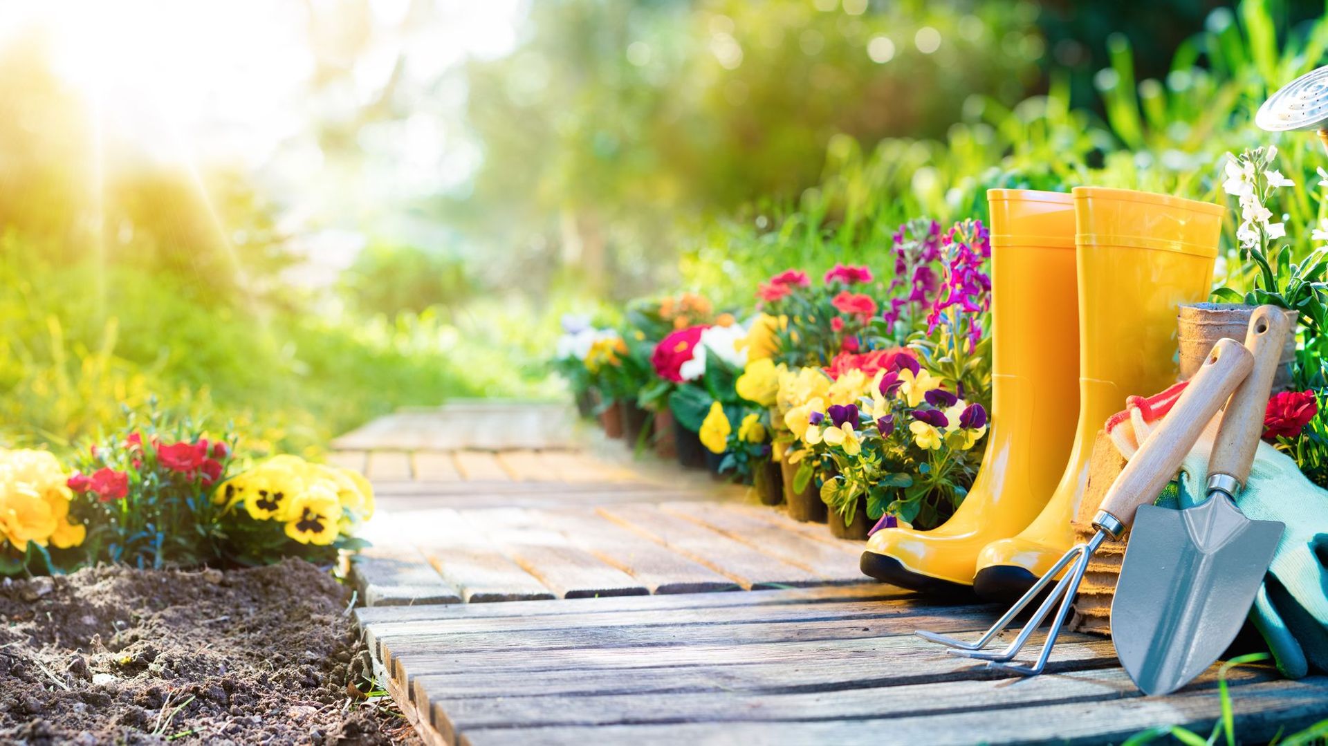 Le Jardinage : tous les bienfaits du jardin sur la santé - IRCEM