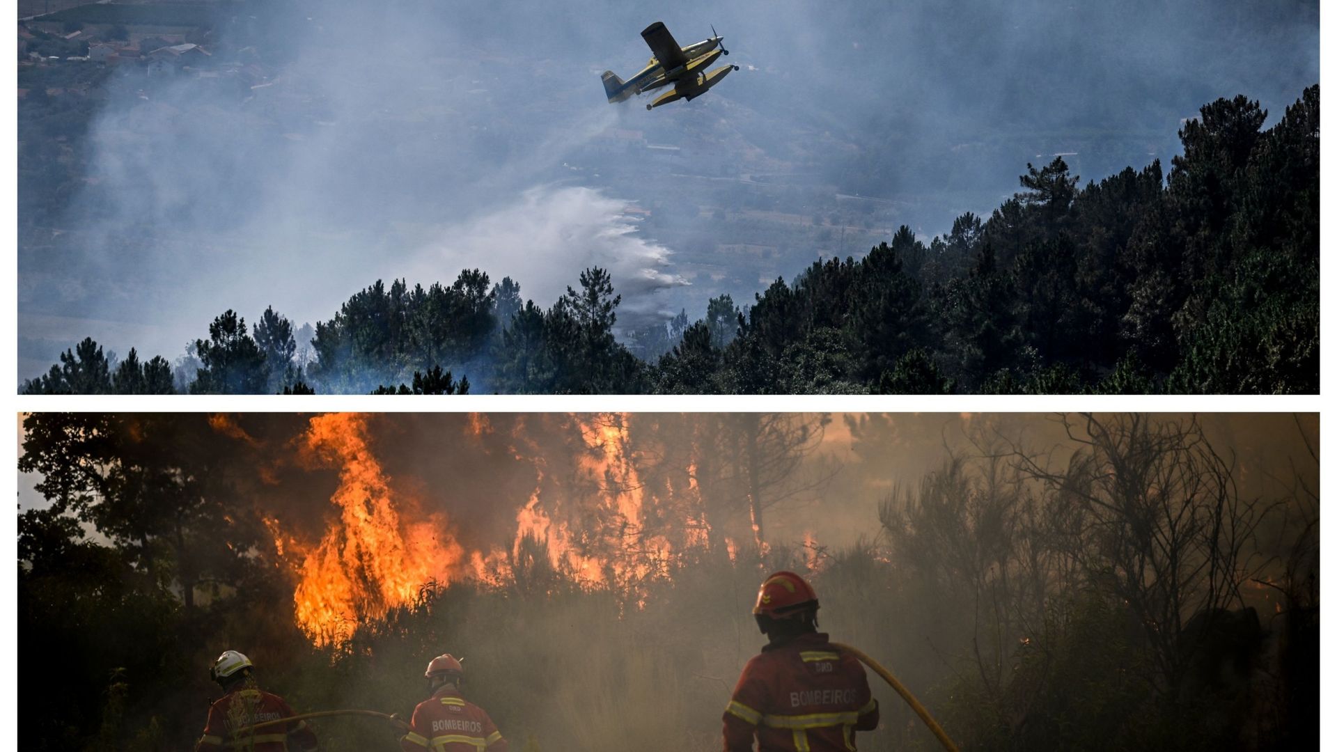 Un avion de pompiers Fire Boss largue de l'eau lors d'un incendie de forêt à Orjais, à Covilha, le 17 août 2022 (illustration) 