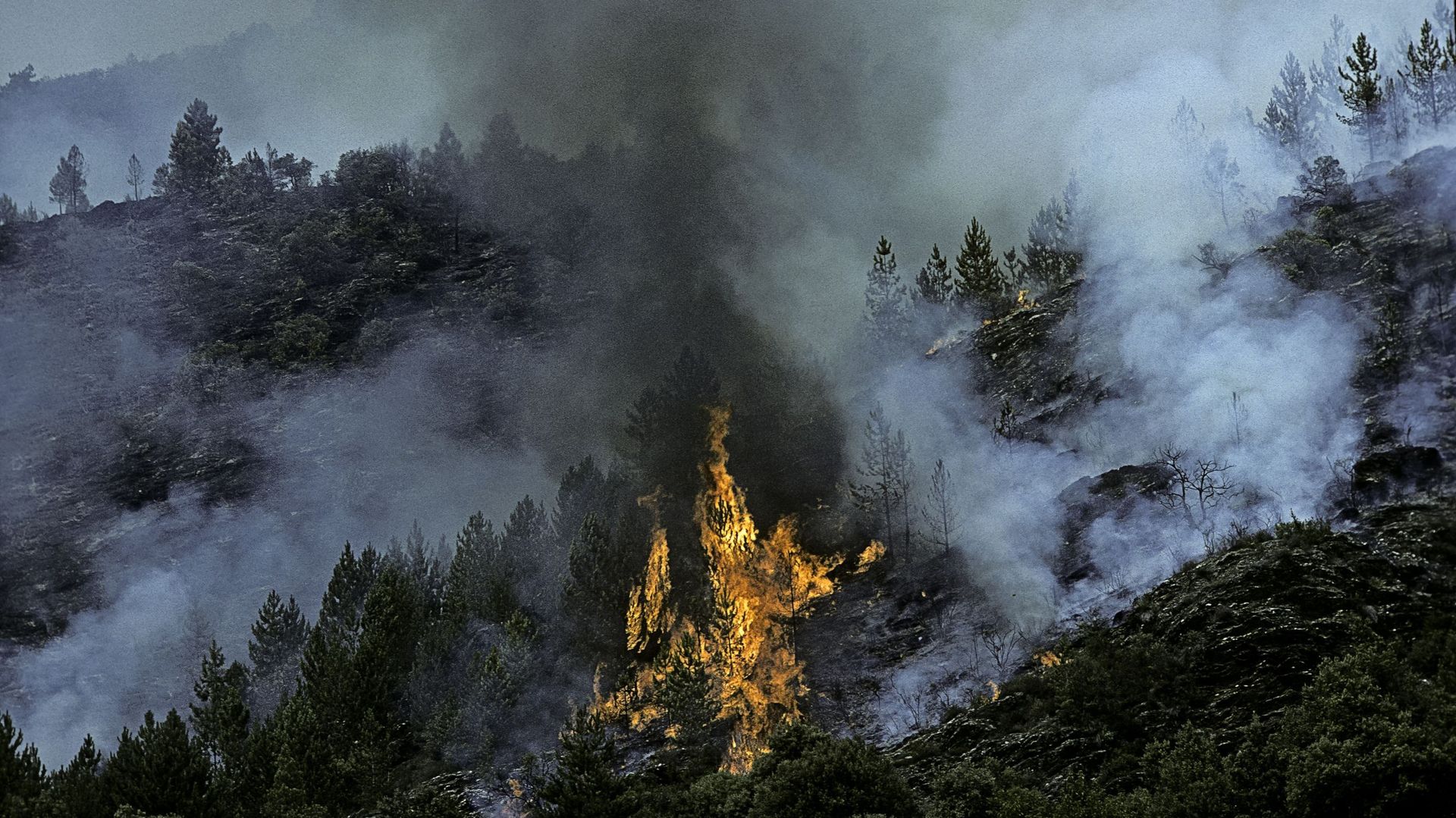 Des pompiers et la protection civile belges se forment à la lutte contre les feux de forêt en France. Photo d’illustration d’un incendie en France.