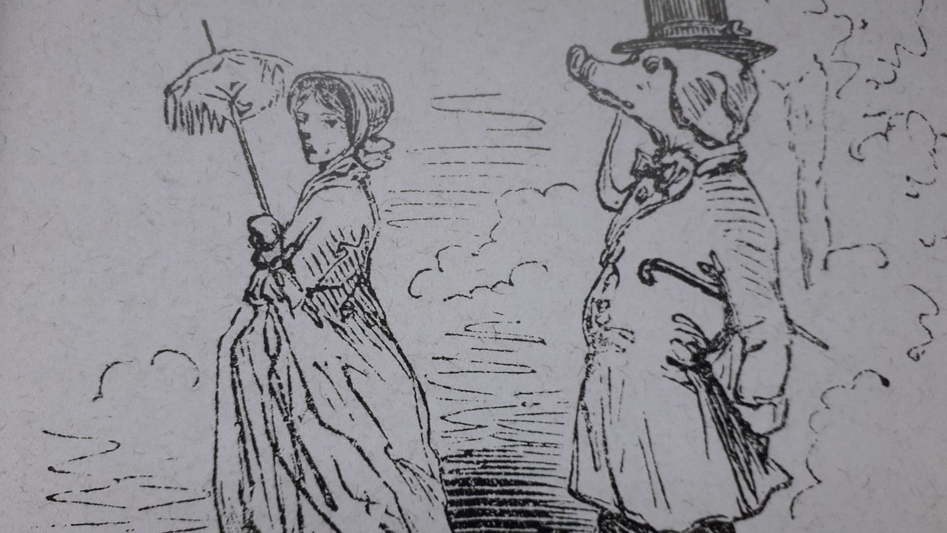 Zwanze, illustration