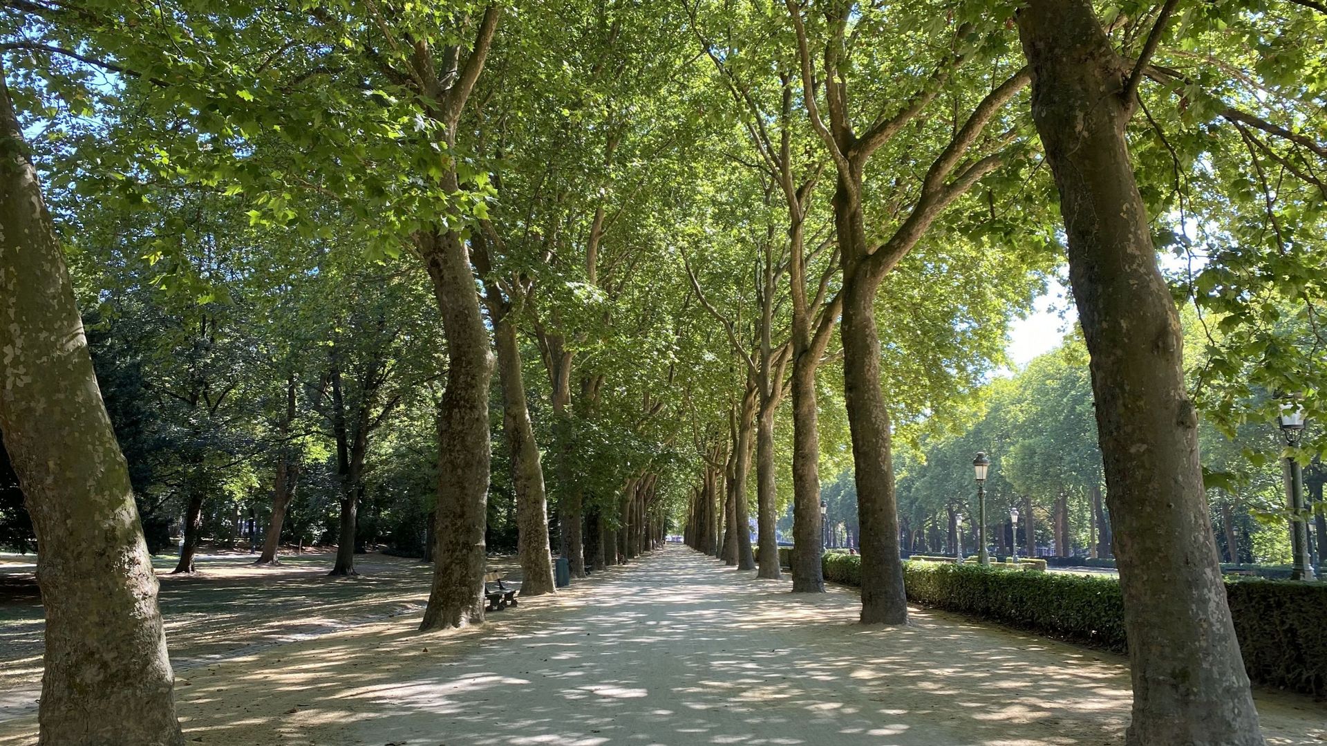 Les jolies allées bordées d’arbres du parc Elisabeth serviront de cadre de jeu pour les joueurs de pétanque