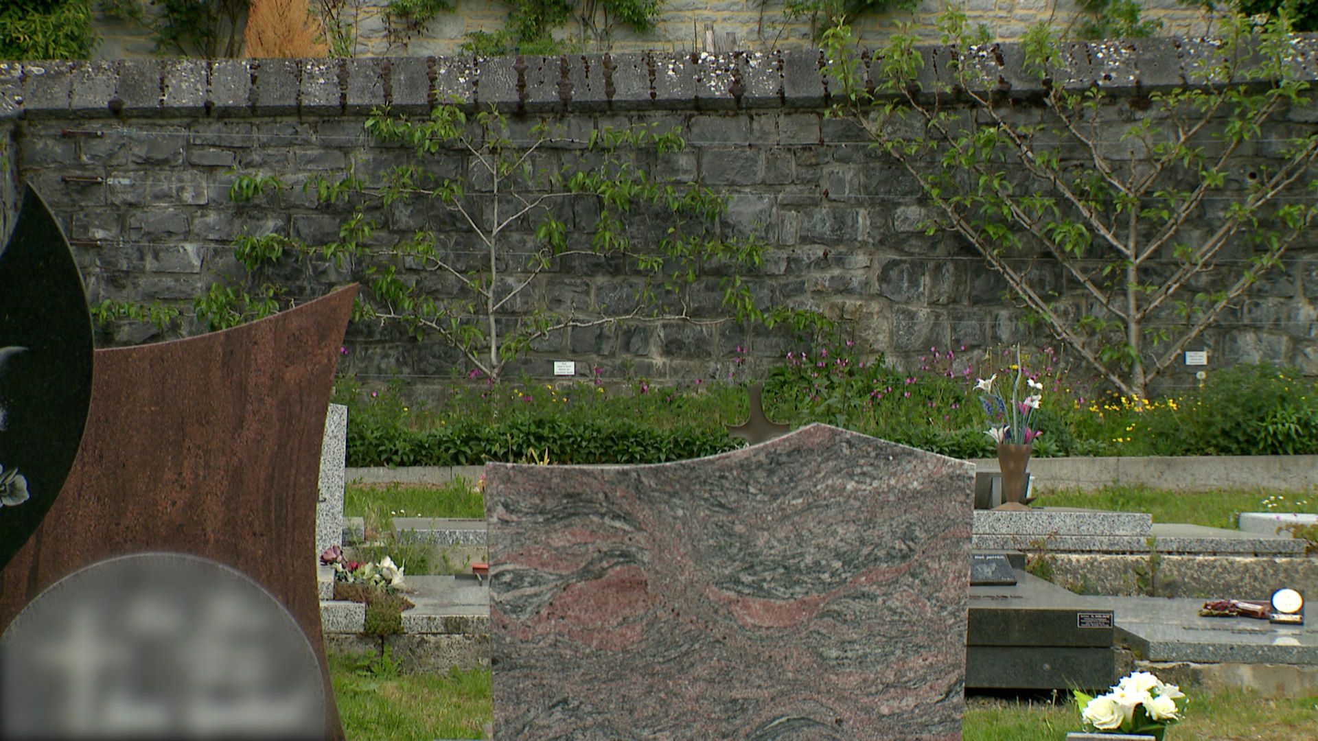 Fruitiers palissés au cimetière d’Oignies-en-Thiérache (Viroinval)