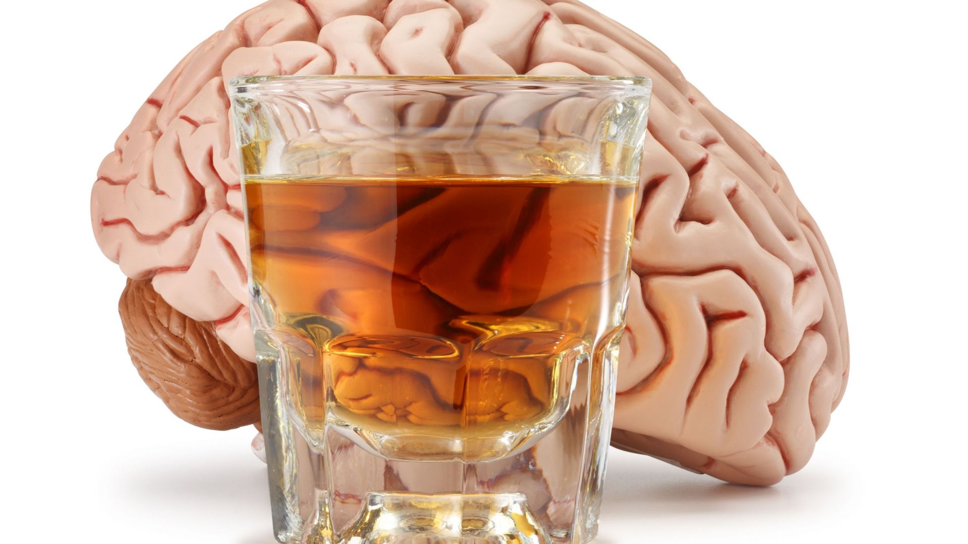 Verre d’alcool et cerveau