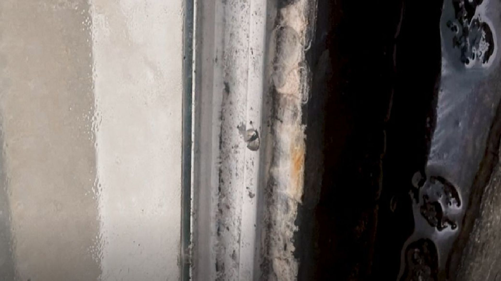 #Investigation sur les kots étudiants : gare aux moisissures et aux garanties locatives non remboursées