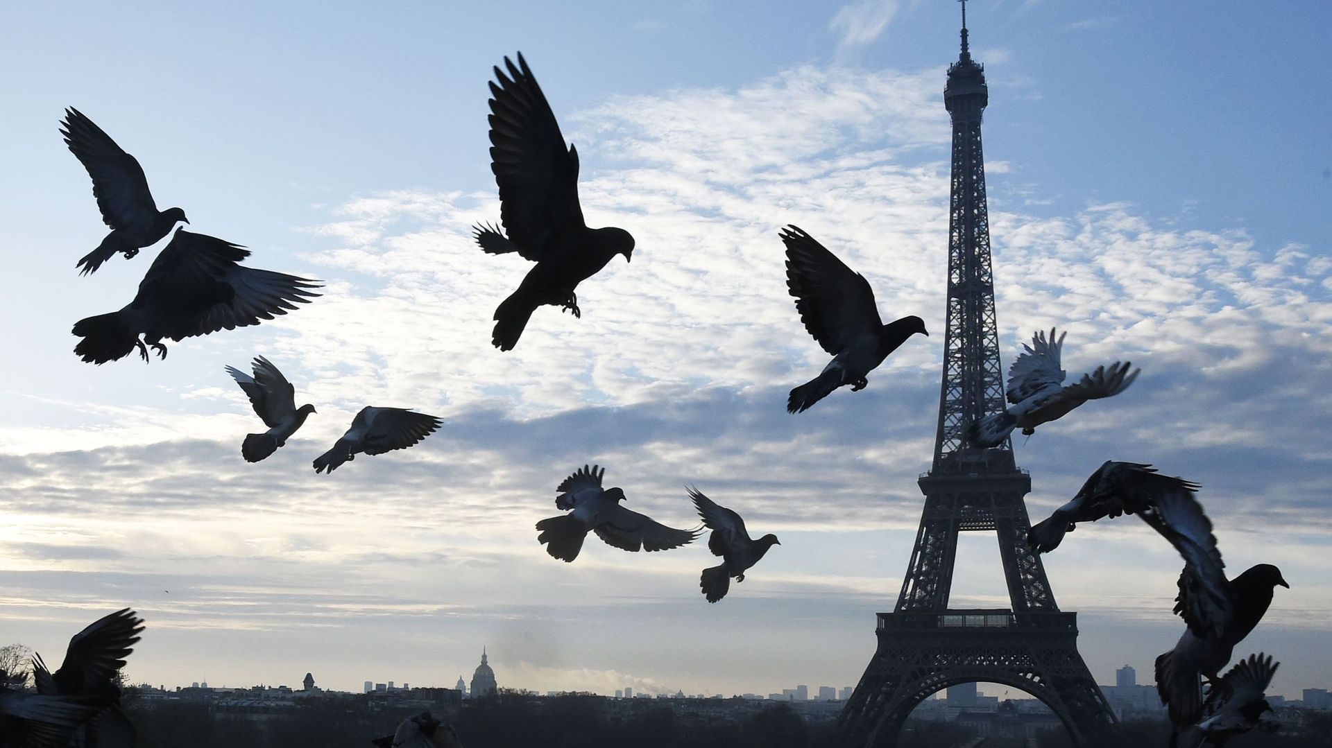 France: les attentats ont limité l'afflux de touristes étrangers en 2015