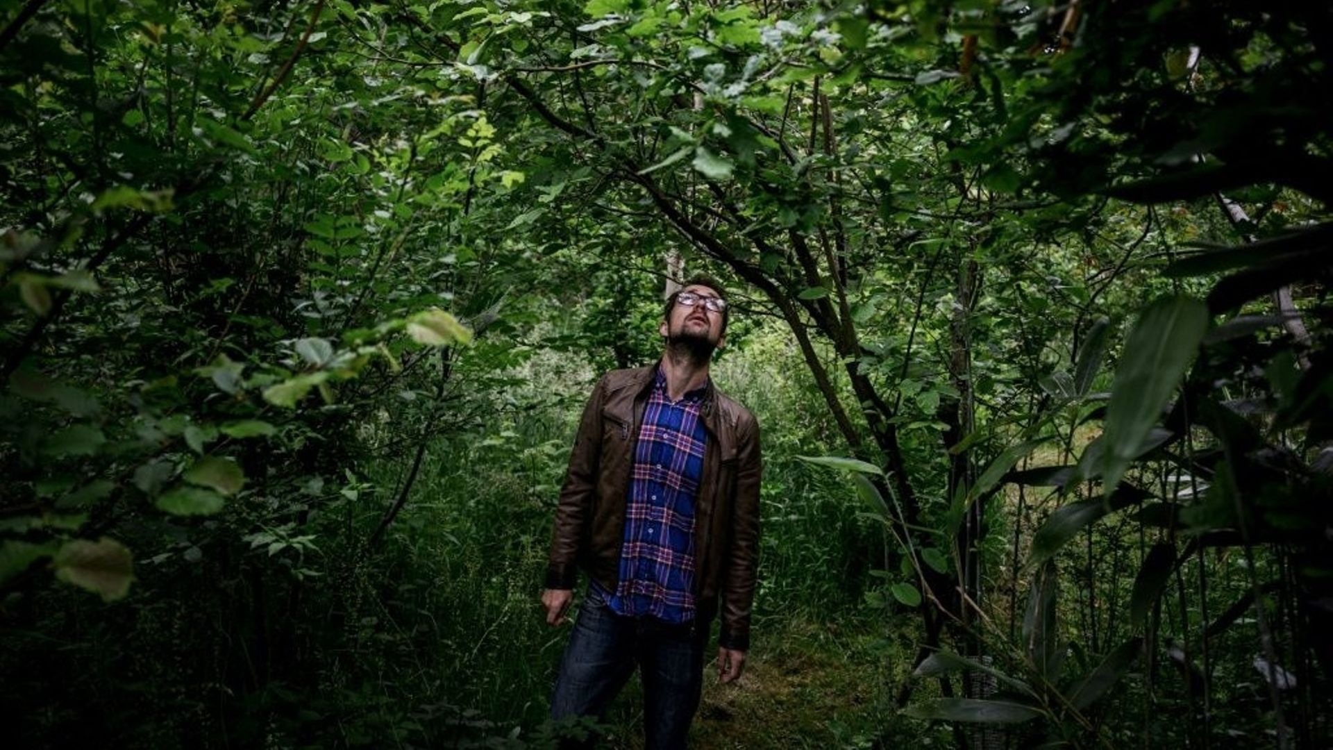 Dans l'est de la France, une forêt à manger pour sauver la planète.